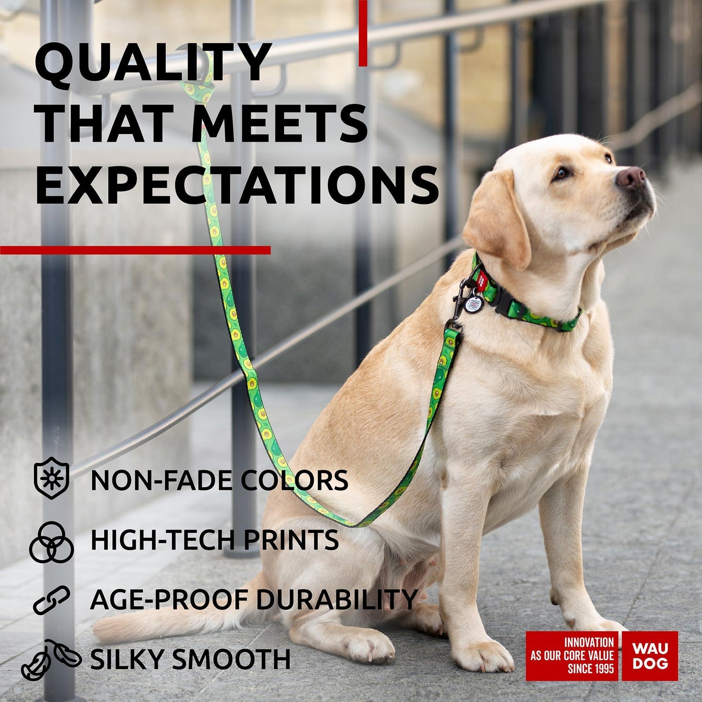 Nylon Dog Leash for Small Dogs and Medium Dogs 4 Ft Strong Dog Leash for Large Dogs Heavy Duty Dog Leashes for Large Breed Dogs & Puppy Leash for Small Boy & Girl Dogs