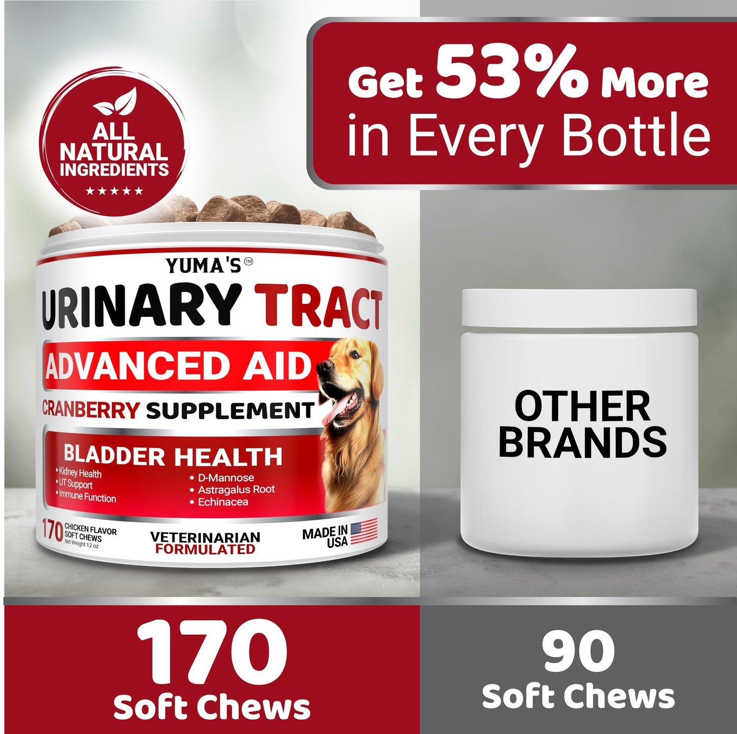 Dog UTI Treatment 170 Treats Cranberry Supplement for Dogs Bladder Control for Dogs Dog Urinary Tract Infection Treatment UTI Medicine for Dogs Multivitamin Dog Vitamins and Supplements
