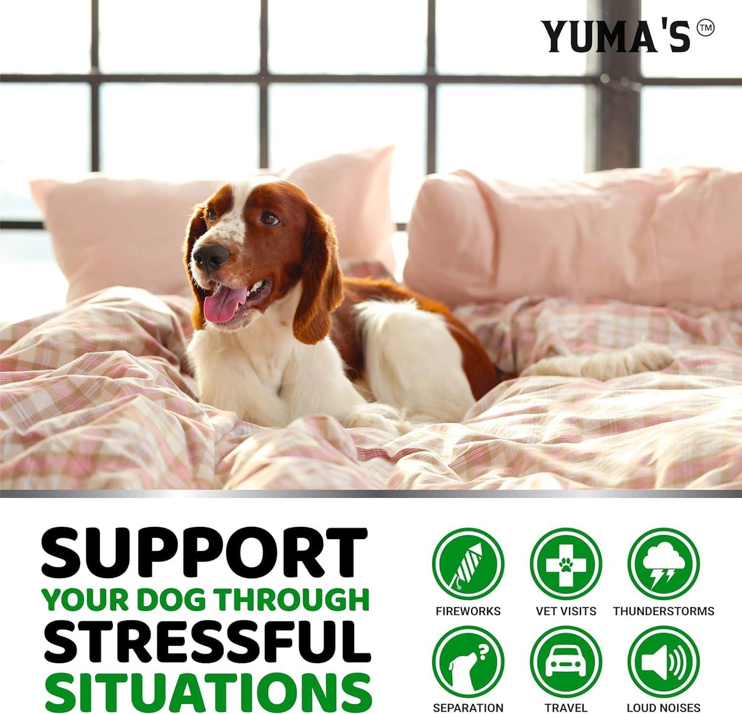 YUMA'S (2 Pack) Hemp Calming Chews for Dogs Advanced Dog Calming Treats Dog Calming Chews 340 Chews Anxiety Relief Treats Separation Aid Barking Stress Relief Melatonin Hemp Oil