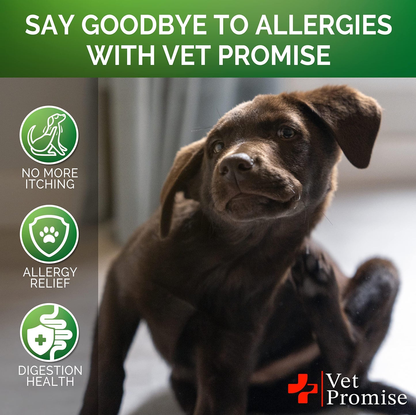 Dog Allergy Chews Itch Relief for Dogs Dog Allergy Relief Anti Itch for Dogs Dog Itchy Skin Treatment Dog Allergy Support Hot Spots Immune Health Supplement Made in USA 120 Treats