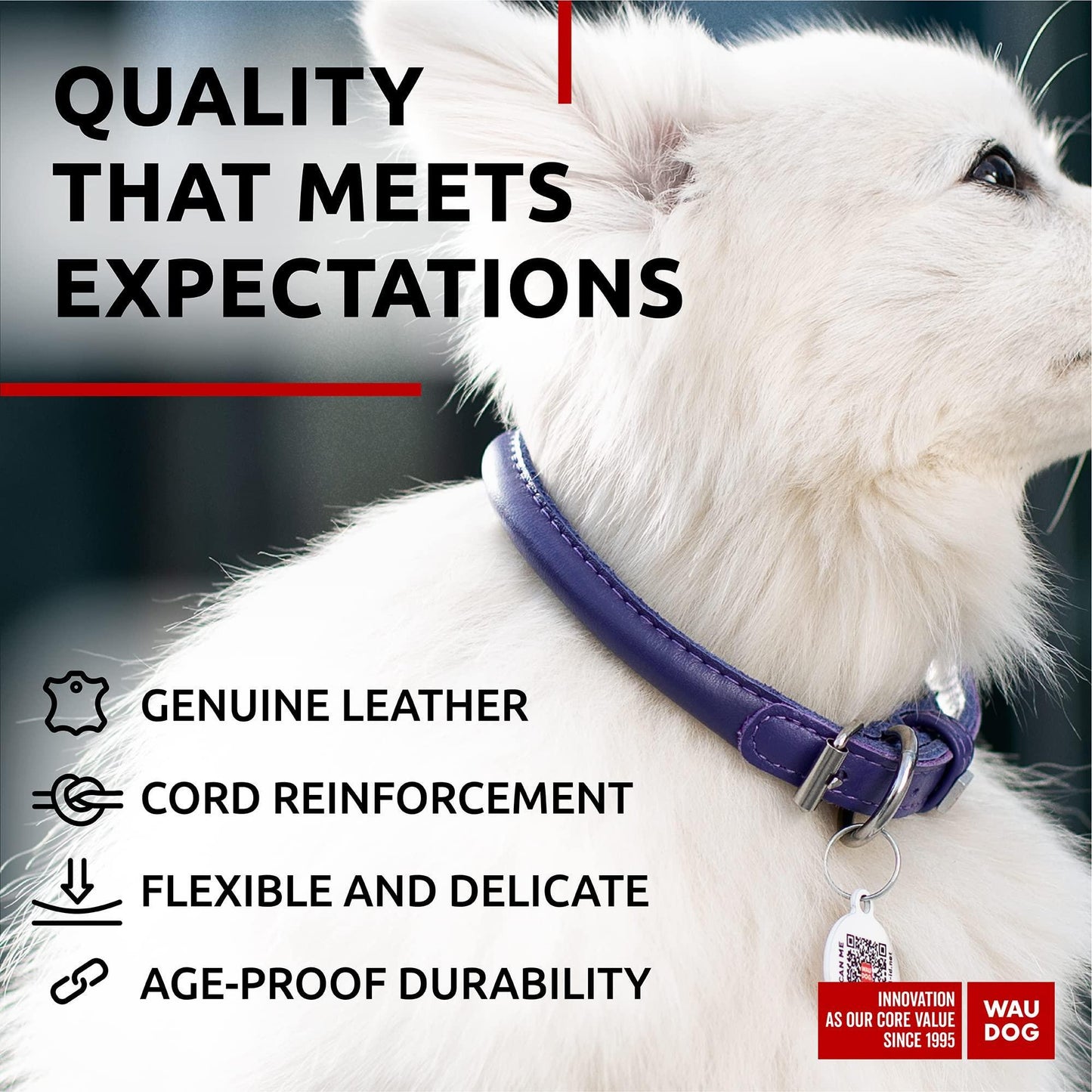 Ultra Soft Rolled Leather Dog Collar for Small Dogs Soft Padded Dog Collars for Medium Dogs Puppy Collars for Large Breed Dogs Male and Female Dog Collar