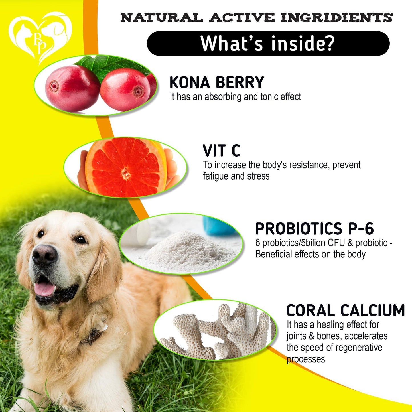 Dog Anti Itch & Allergy Relief Chews Dry Itchy Skin & Hot Spot Treatment with Probiotic Omega 3 Oil Immune Supplement & Seasonal Allergies Medicine for Dogs Puppy 140 Bites Made in USA