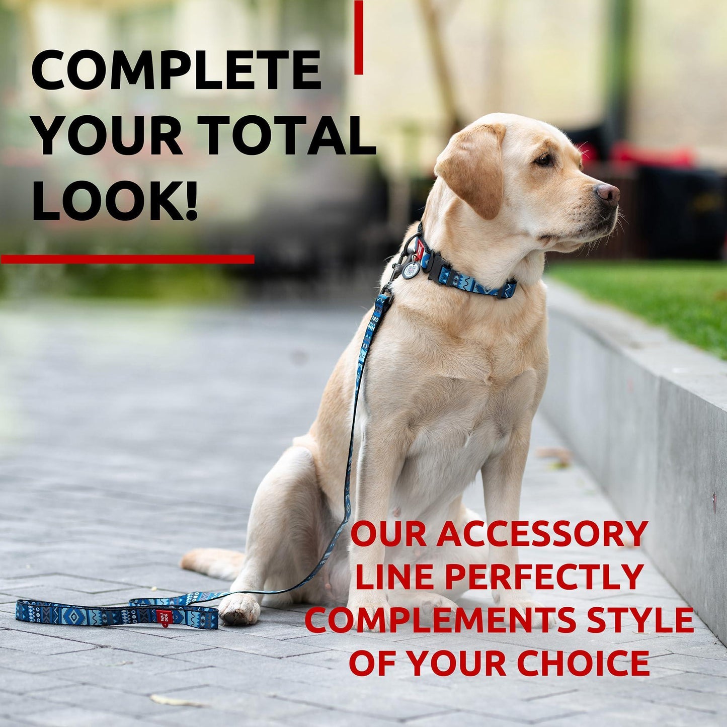 Nylon Dog Leash for Small Dogs and Medium Dogs 4 Ft Strong Dog Leash for Large Dogs Heavy Duty Dog Leashes for Large Breed Dogs & Puppy Leash for Small Boy & Girl Dogs