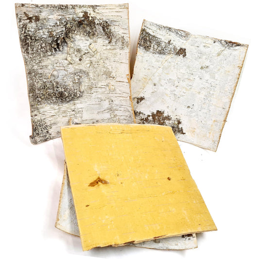 6 pcs Natural White Birch Tree Bark Sheets 8  x 8    Birch Bark Sheets for DIY Crafts Handmade Jewelry Making Bracelets Earrings   Unfinished Birch Wood Paper