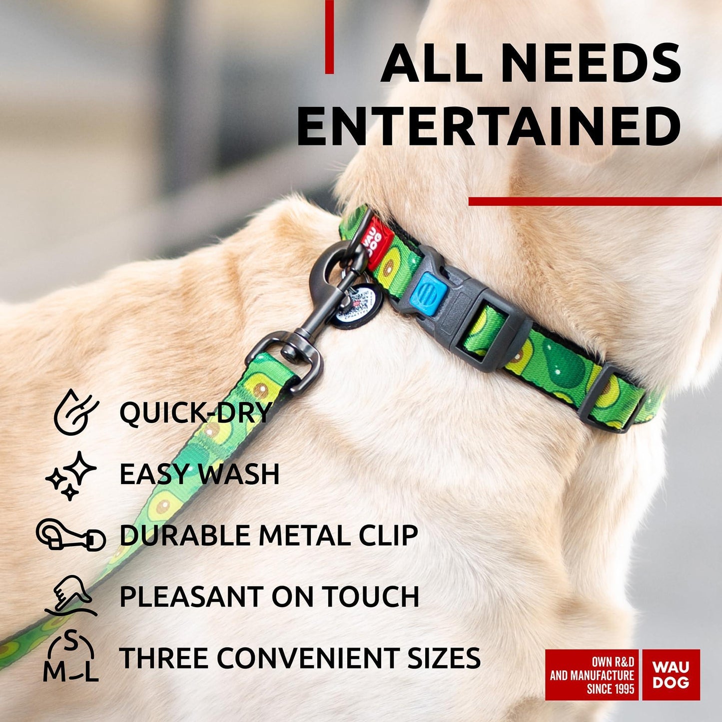 Nylon Dog Leash for Small Dogs and Medium Dogs 4 Ft   Strong Dog Leash for Large Dogs   Heavy Duty Dog Leashes for Large Breed Dogs & Puppy Leash for Small Boy & Girl Dogs