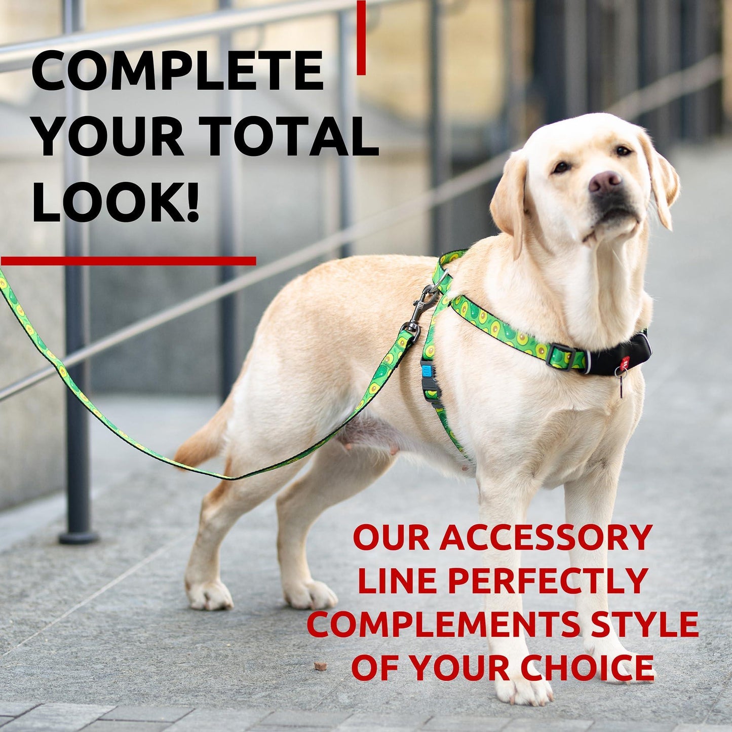 Nylon Dog Leash for Small Dogs and Medium Dogs 4 Ft   Strong Dog Leash for Large Dogs   Heavy Duty Dog Leashes for Large Breed Dogs & Puppy Leash for Small Boy & Girl Dogs