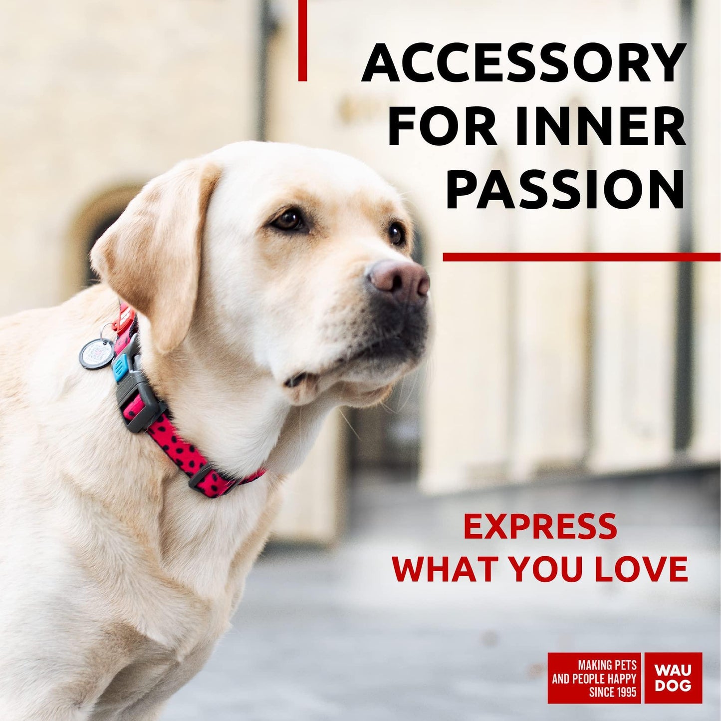 Nylon Dog Collar   Adjustable Dog Collar for Large Dogs Small & Medium Dogs   Breakaway Puppy Collars for Large Breed Dogs   Boy & Girl Dog Collars with Durable Plastic Buckle and QR Dog Tag