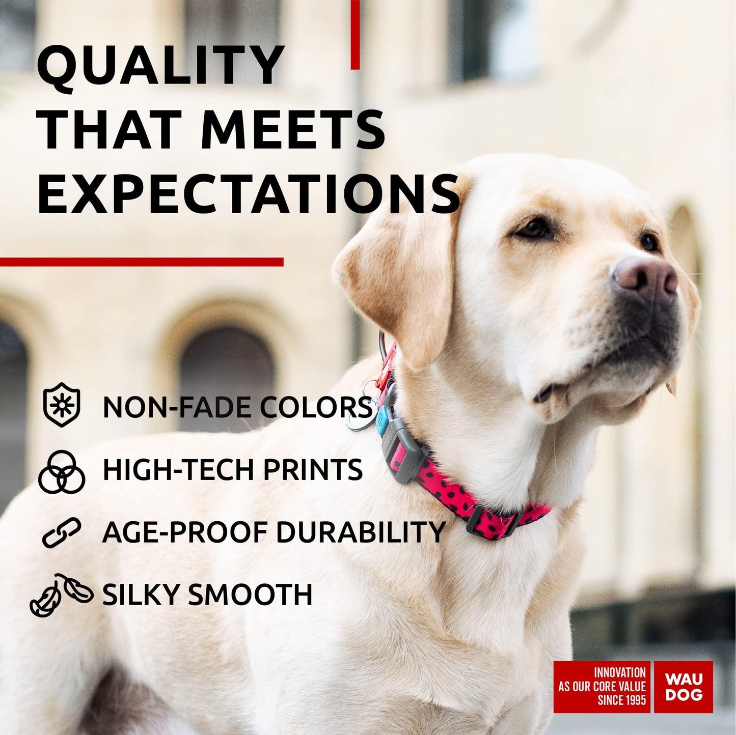 Nylon Dog Collar   Adjustable Dog Collar for Large Dogs Small & Medium Dogs   Breakaway Puppy Collars for Large Breed Dogs   Boy & Girl Dog Collars with Durable Plastic Buckle and QR Dog Tag