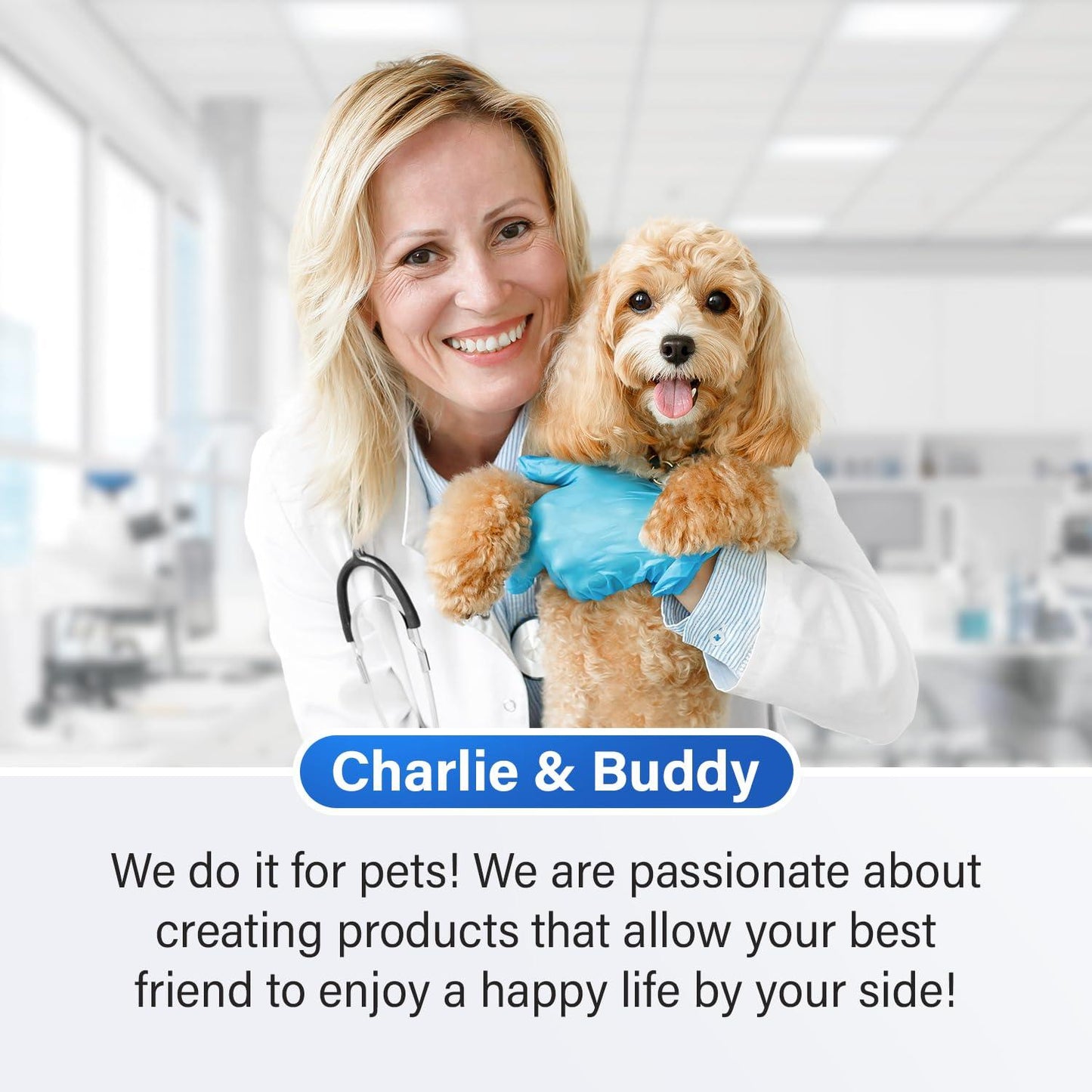 Calming Chews for Dogs Dog Anxiety Relief Promote Relaxation Dog Calming Chews with Melatonin for Dogs Chamomile Magnesium Citrate 90 Soft Chews Chicken Flavor