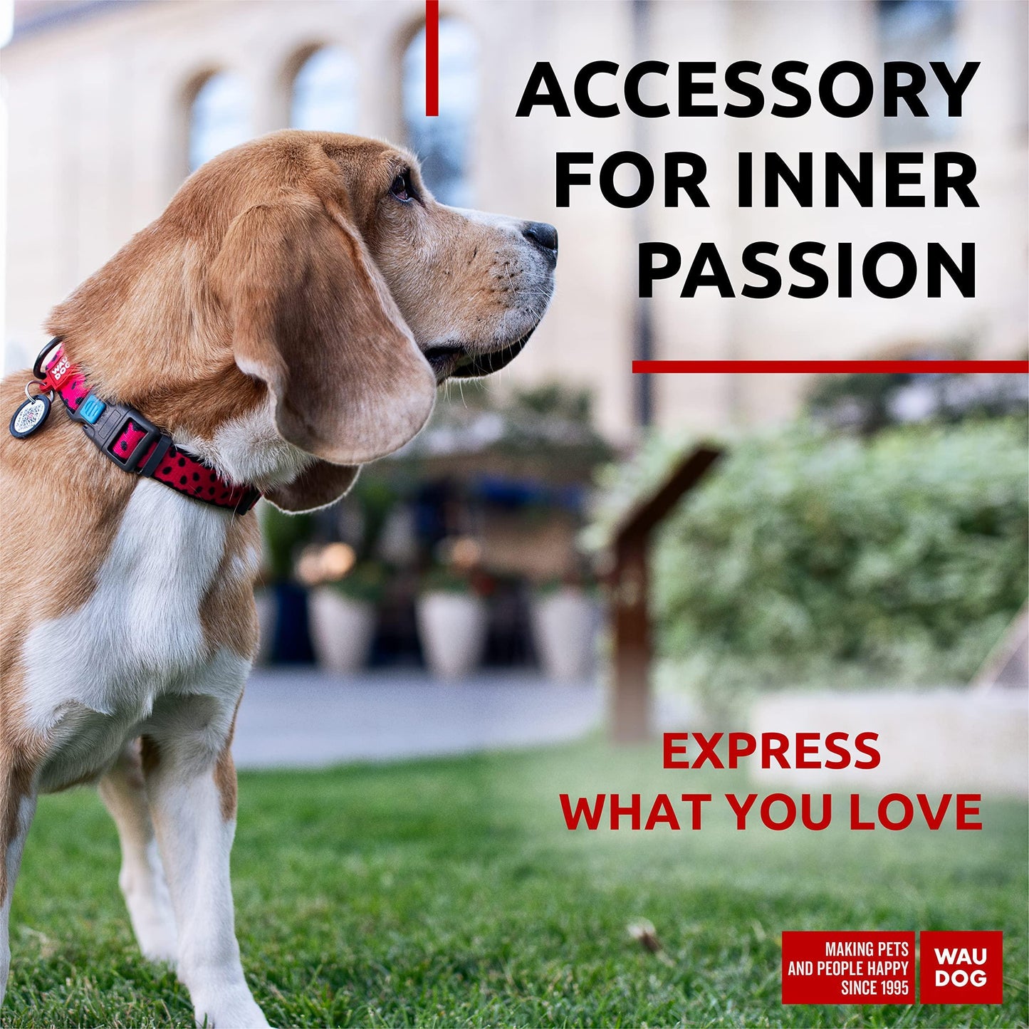 Nylon Dog Collar   Adjustable Dog Collar for Large Dogs Small & Medium Dogs   Breakaway Puppy Collars for Large Breed Dogs   Boy & Girl Dog Collars with Durable Plastic Buckle and QR Dog Tag