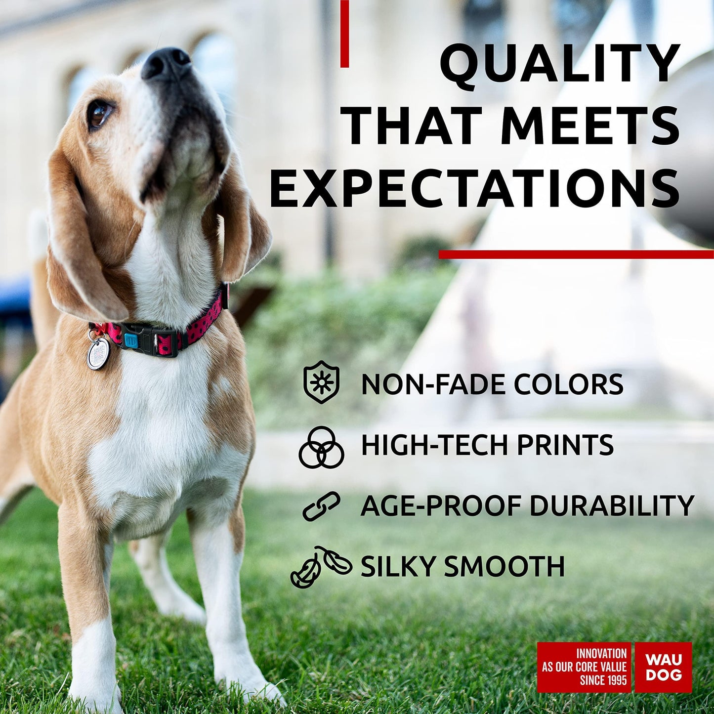 Nylon Dog Collar   Adjustable Dog Collar for Large Dogs Small & Medium Dogs   Breakaway Puppy Collars for Large Breed Dogs   Boy & Girl Dog Collars with Durable Plastic Buckle and QR Dog Tag