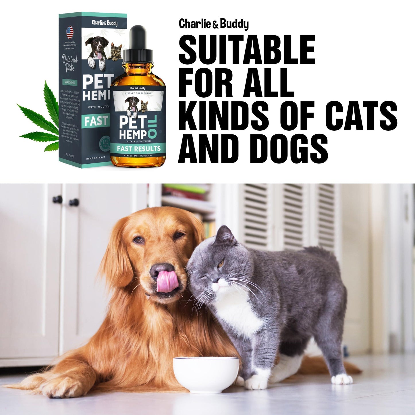 Hеmp Оil Dogs Cats   Helps Pets with Аnxiеty Pаin Strеss Slееp Аrthritis Sеizures Rеlief   Нiр Jоint Hеalth   Cаlming Trеats