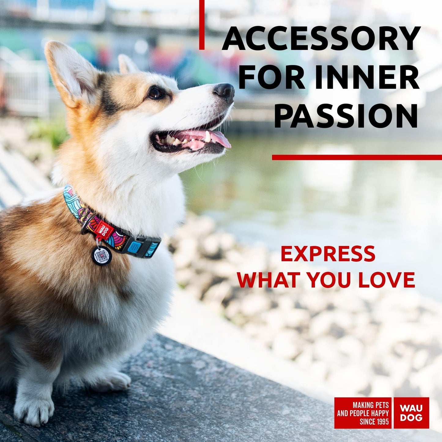 Nylon Dog Collar   Adjustable Dog Collar for Large Dogs Small & Medium Dogs   Breakaway Puppy Collars for Large Breed Dogs   Boy & Girl Dog Collars with Durable Plastic Buckle and QR Dog Tag
