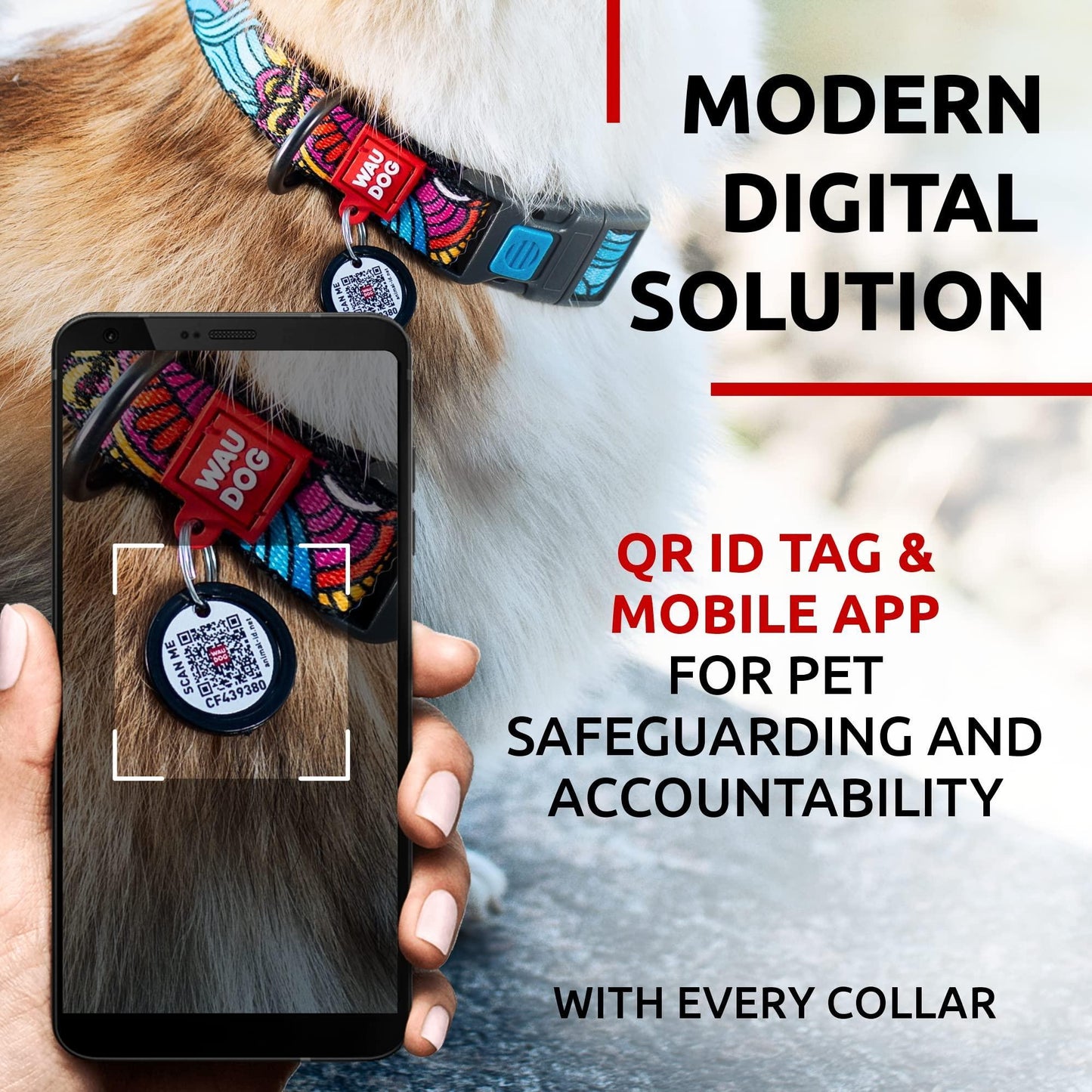 Nylon Dog Collar   Adjustable Dog Collar for Large Dogs Small & Medium Dogs   Breakaway Puppy Collars for Large Breed Dogs   Boy & Girl Dog Collars with Durable Plastic Buckle and QR Dog Tag