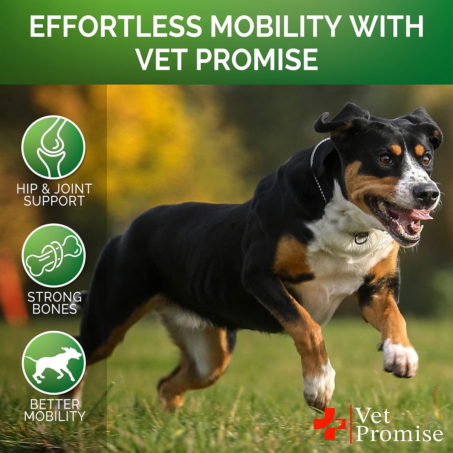 Glucosamine for Dogs   Hip and Joint Supplement for Dogs   Glucosamine Chondroitin for Dogs   Dog Joint Pain Relief Treats with MSM   Hemp   Advanced Dog Joint Supplement Health   120 Mobility Chews