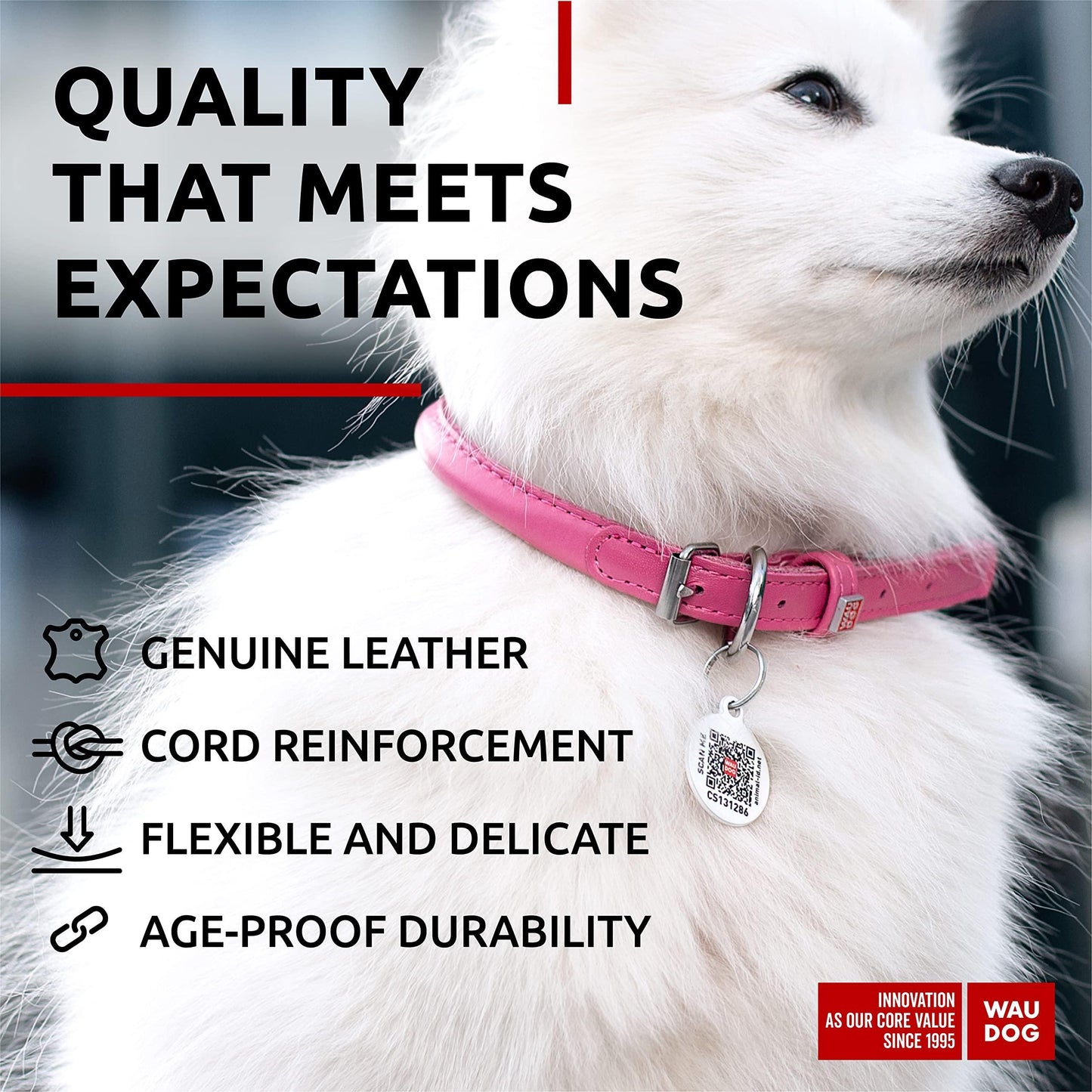WAUDOG Ultra Soft Rolled Leather Dog Collar for Small Dogs   Soft Padded Dog Collars for Medium Dogs   Puppy Collars for Large Breed Dogs   Male and Female Dog Collar