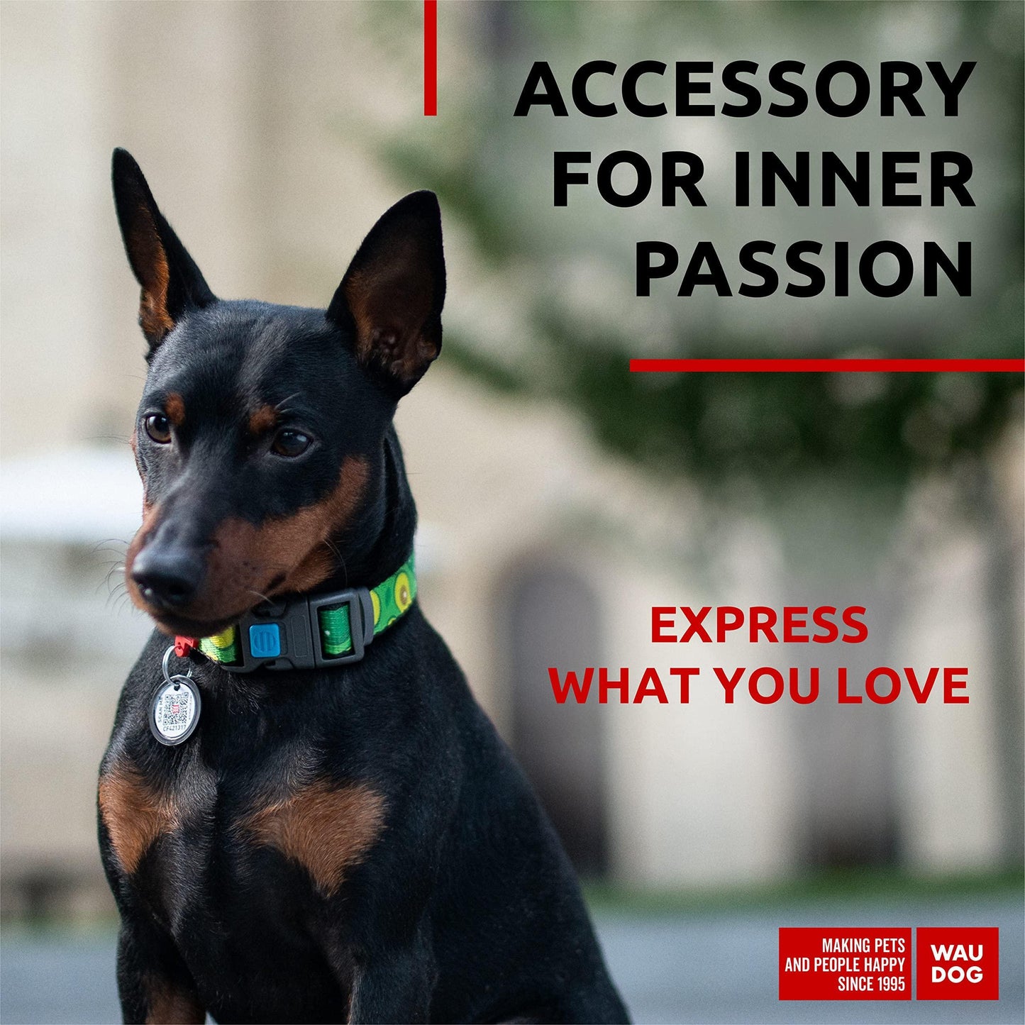 Nylon Dog Collar   Adjustable Dog Collar for Large Dogs Small & Medium Dogs   Breakaway Puppy Collars for Large Breed Dogs   Boy & Girl Dog Collars with Durable Plastic Buckle and QR Dog Tag