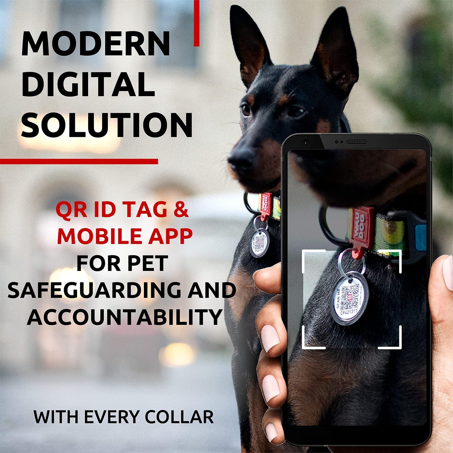 Nylon Dog Collar   Adjustable Dog Collar for Large Dogs Small & Medium Dogs   Breakaway Puppy Collars for Large Breed Dogs   Boy & Girl Dog Collars with Durable Plastic Buckle and QR Dog Tag
