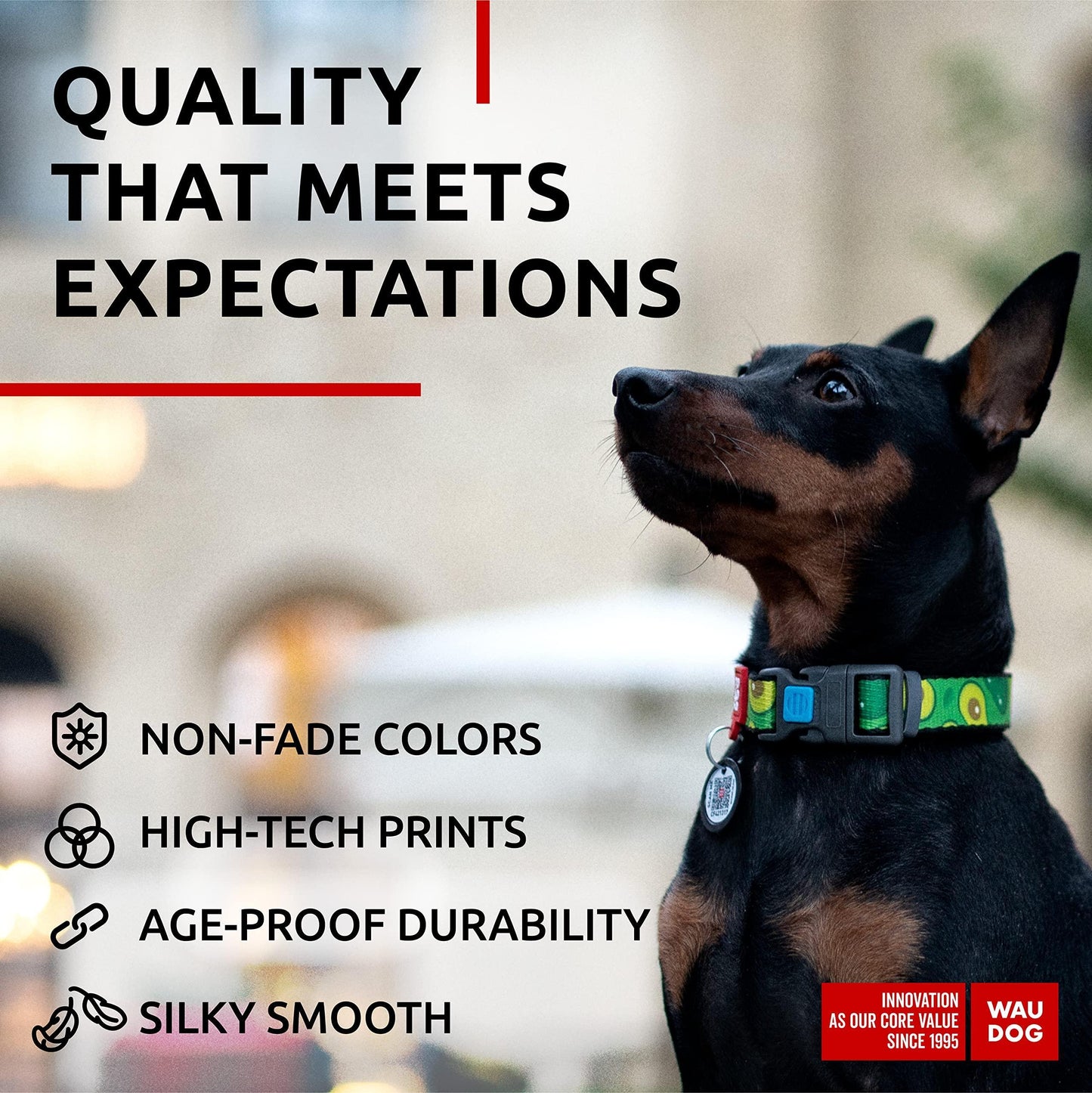 Nylon Dog Collar   Adjustable Dog Collar for Large Dogs Small & Medium Dogs   Breakaway Puppy Collars for Large Breed Dogs   Boy & Girl Dog Collars with Durable Plastic Buckle and QR Dog Tag