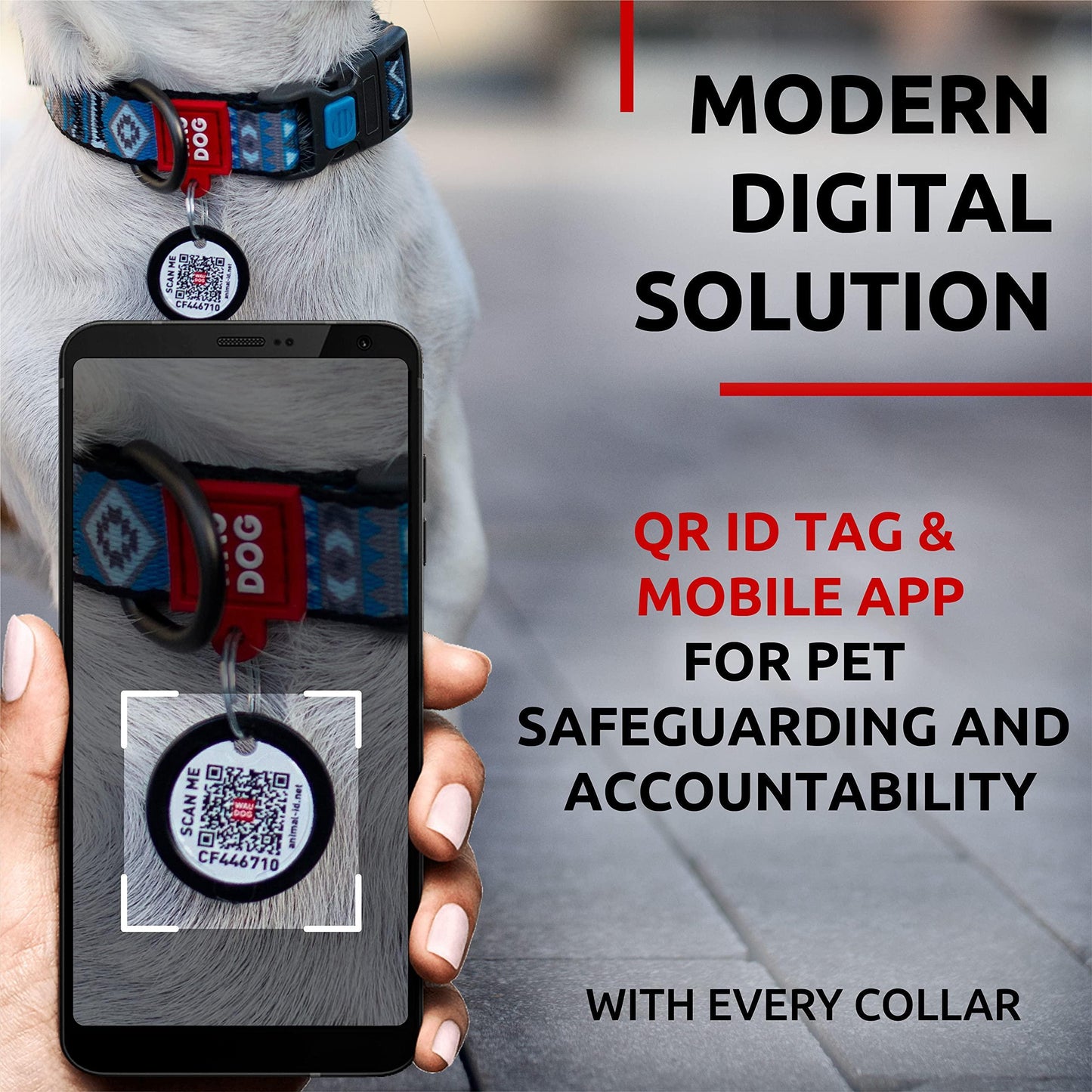 Nylon Dog Collar   Adjustable Dog Collar for Large Dogs Small & Medium Dogs   Breakaway Puppy Collars for Large Breed Dogs   Boy & Girl Dog Collars with Durable Plastic Buckle and QR Dog Tag