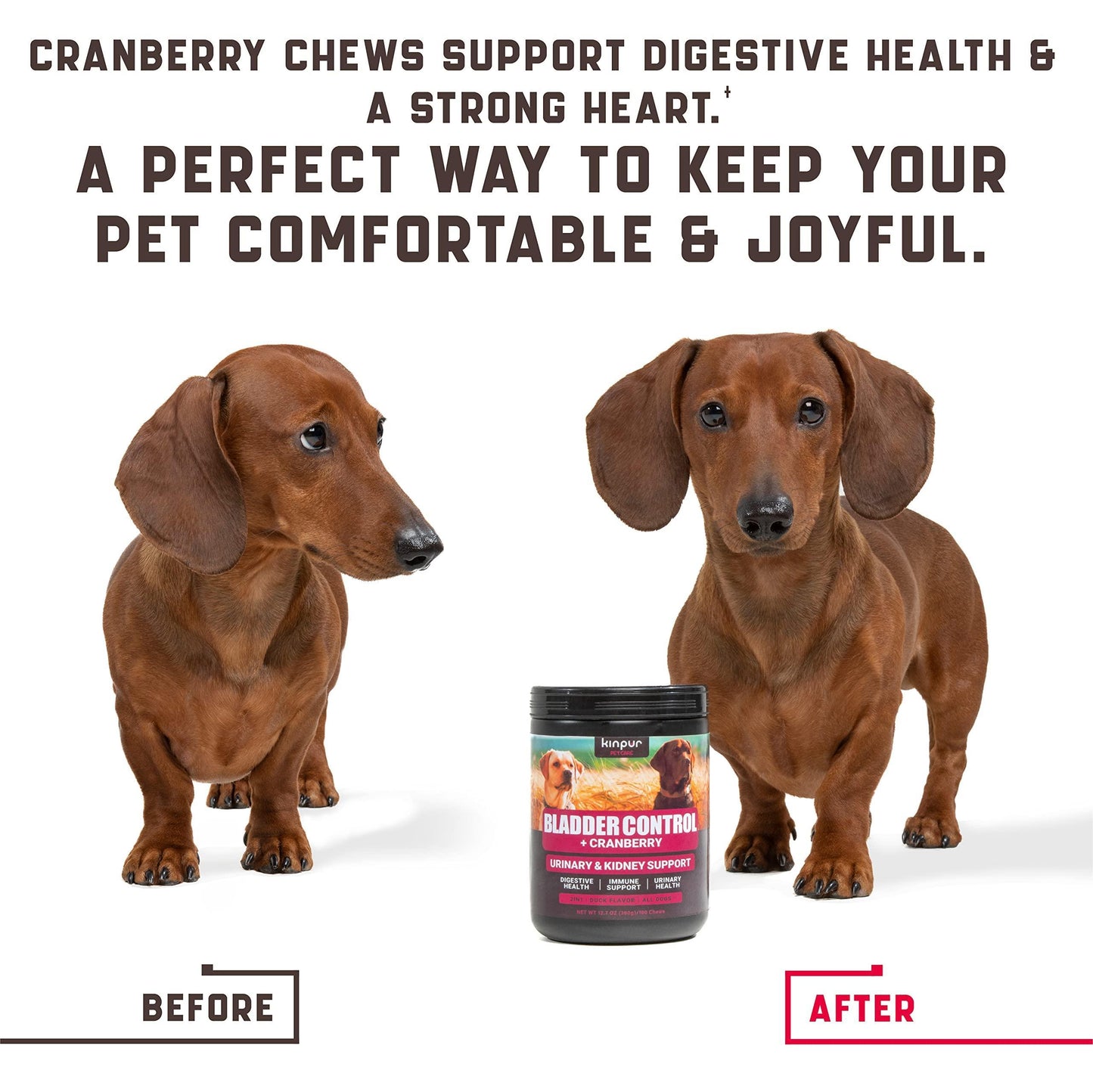 180 Cranberry Chews   Dog Cranberry Supplement   Natural Aid for Urinary Tract Bladder Kidney Health   Immune Support for Dogs of All Ages and Breeds   American Quality   Duck Flavor