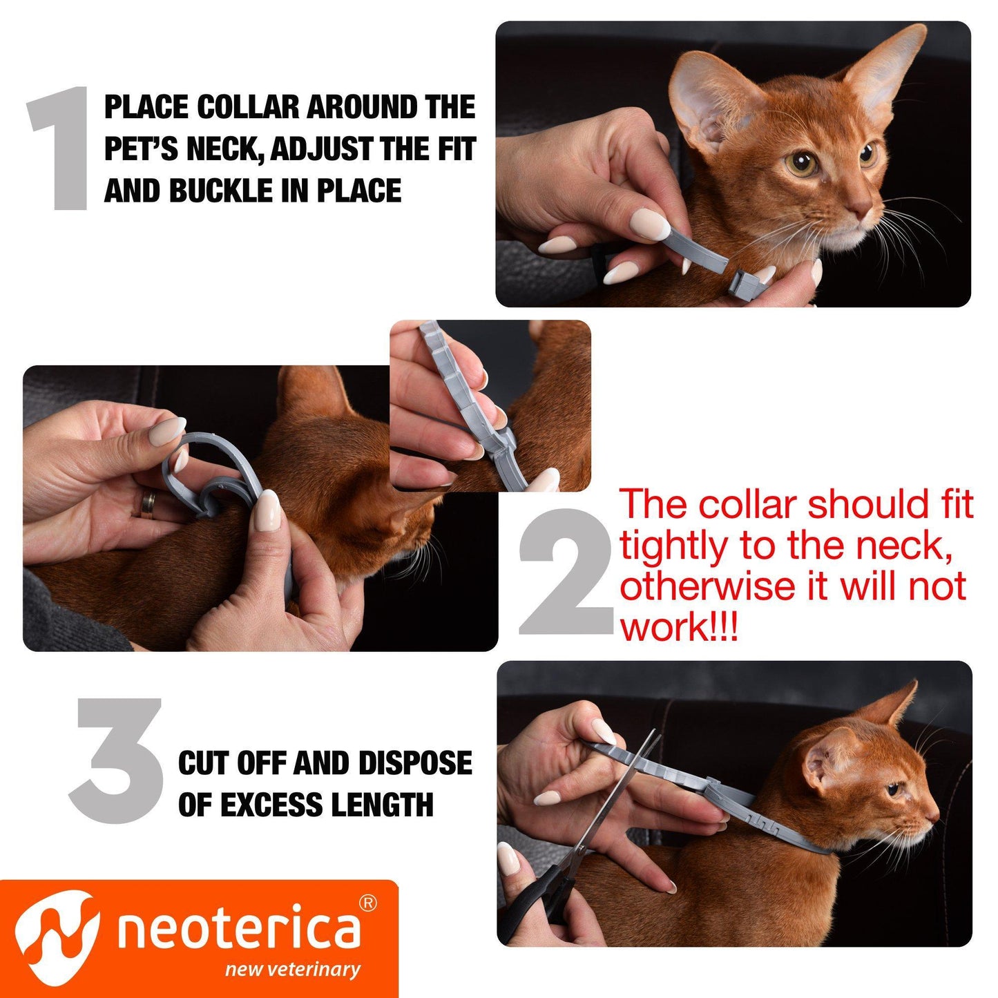 Natural Flea & Tick Collar for Cats   6 Months Control of Best Prevention & Safe Treatment   Anti Fleas and Ticks Essential Oil Repellent (1 Pack)