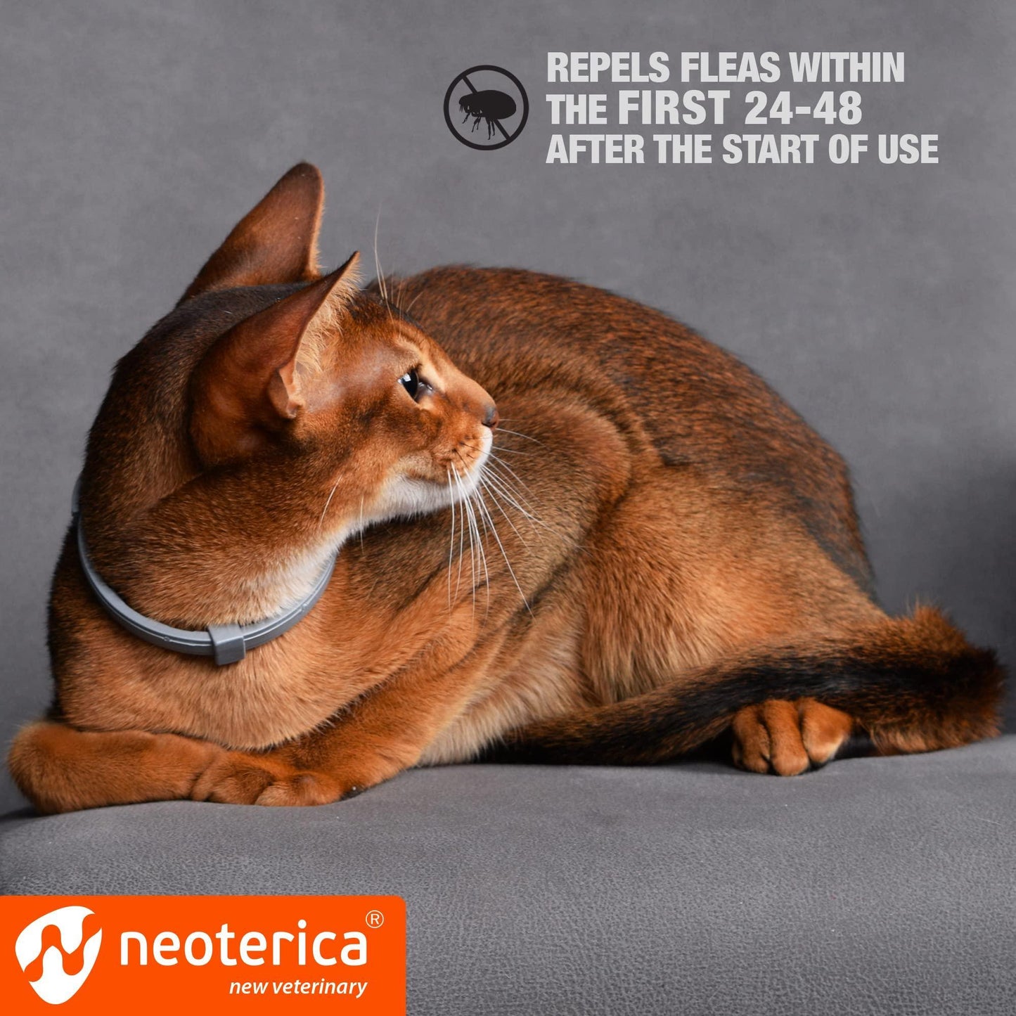 Natural Flea & Tick Collar for Cats   6 Months Control of Best Prevention & Safe Treatment   Anti Fleas and Ticks Essential Oil Repellent (1 Pack)