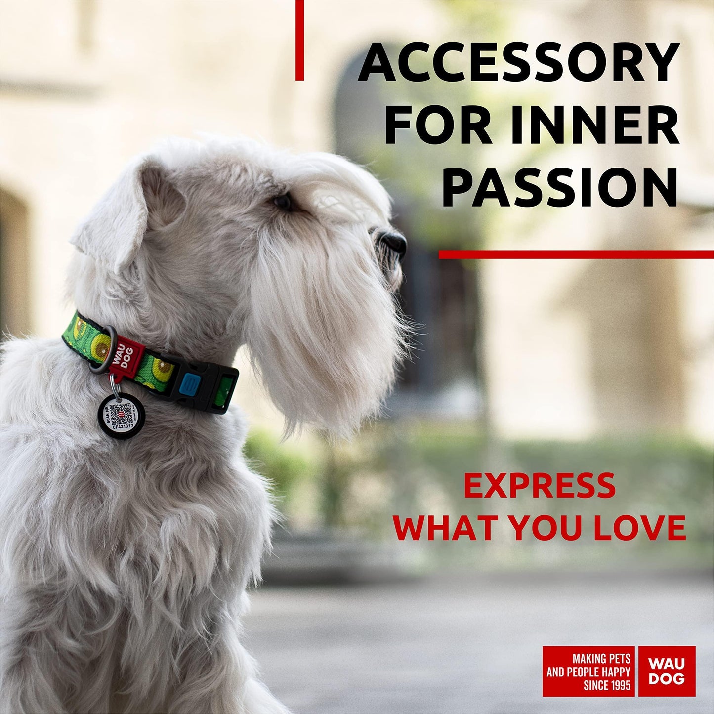 Nylon Dog Collar   Adjustable Dog Collar for Large Dogs Small & Medium Dogs   Breakaway Puppy Collars for Large Breed Dogs   Boy & Girl Dog Collars with Durable Plastic Buckle and QR Dog Tag