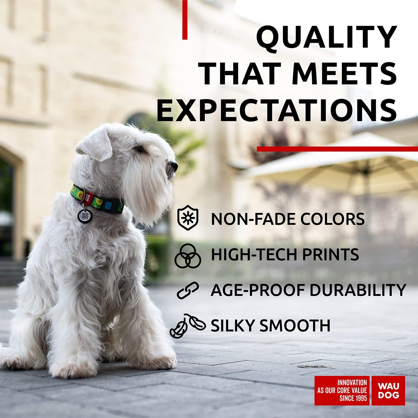 Nylon Dog Collar   Adjustable Dog Collar for Large Dogs Small & Medium Dogs   Breakaway Puppy Collars for Large Breed Dogs   Boy & Girl Dog Collars with Durable Plastic Buckle and QR Dog Tag