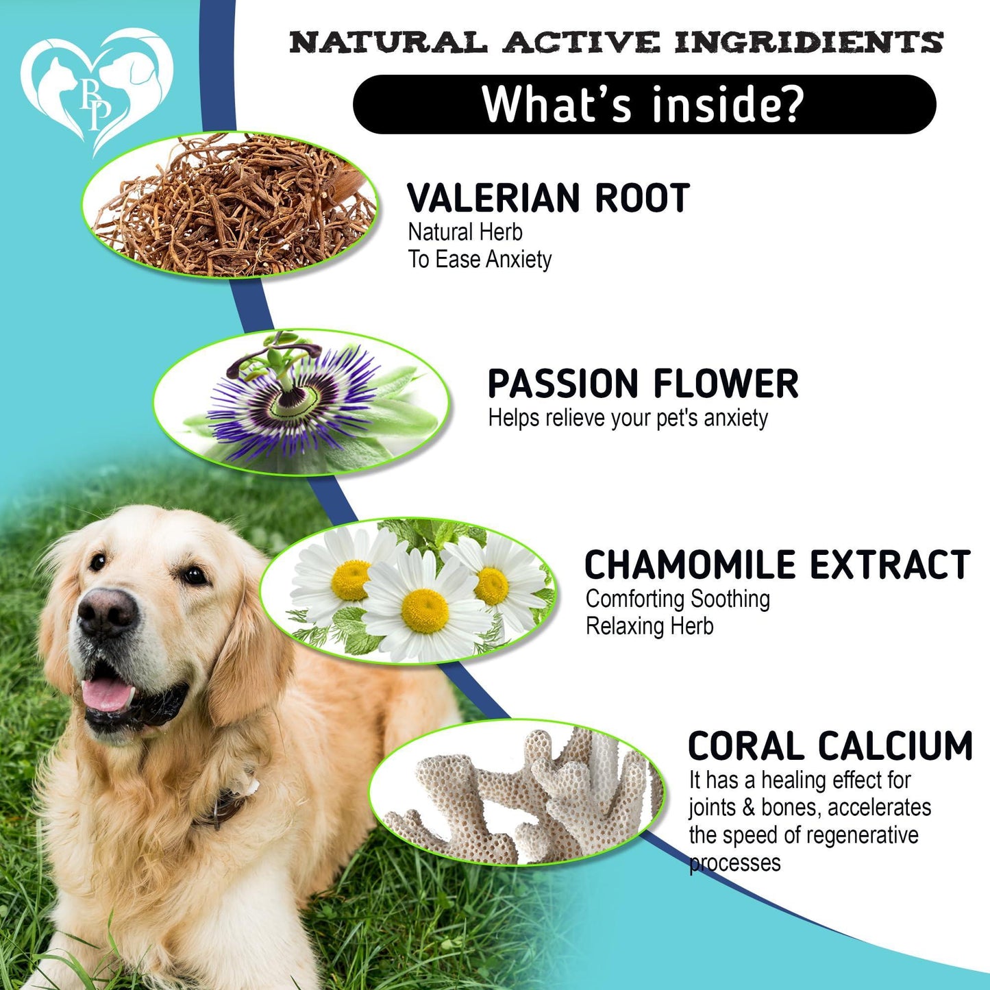 Hemp Calming Chews for Dogs & Puppy Pet Separation Anxiety Relief Treats & Calm Aggressive Behavior   Melatonin Anti Stress Treatment Help with Thunder Sleep Aid   Made in USA (Bacon (For Dogs))