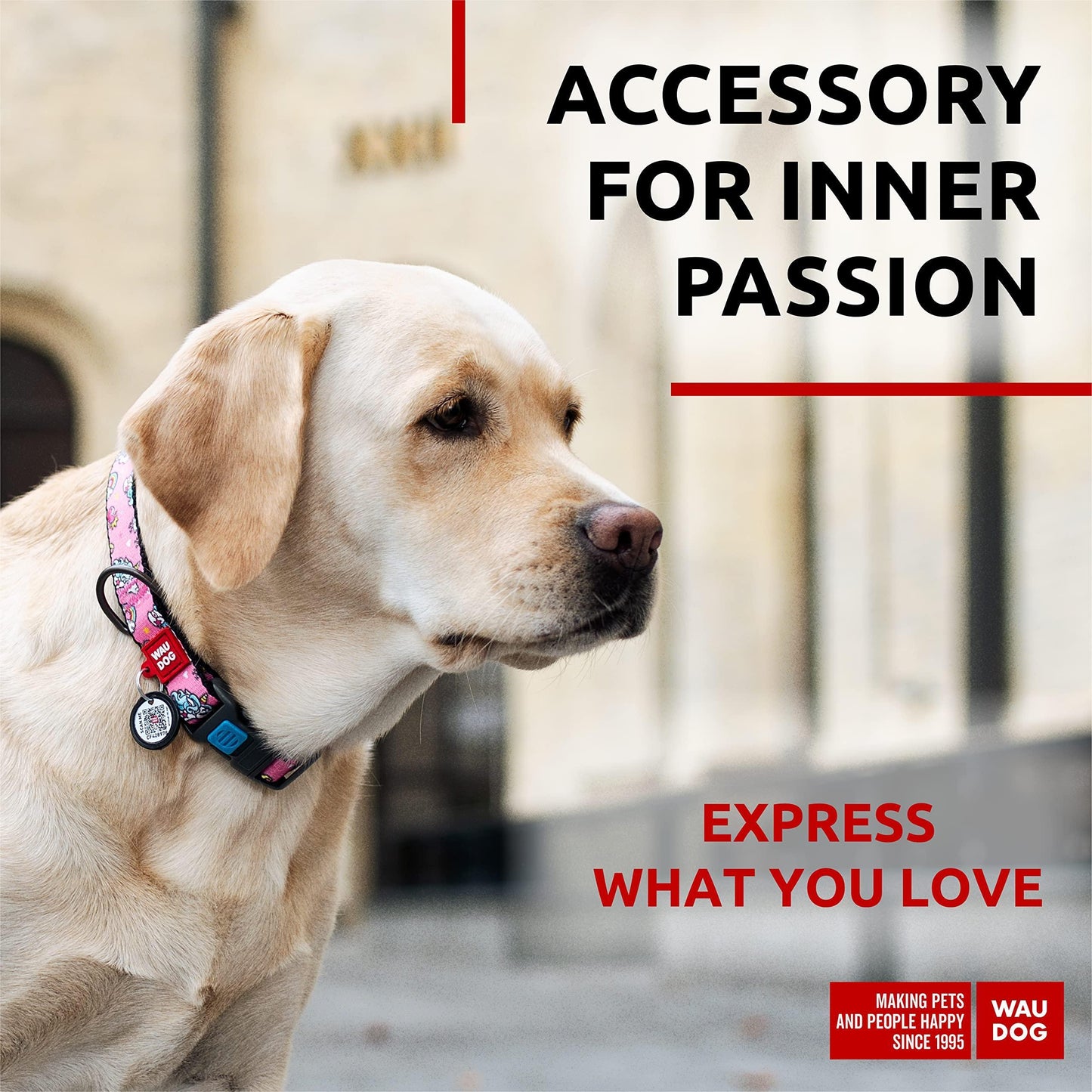Nylon Dog Collar   Adjustable Dog Collar for Large Dogs Small & Medium Dogs   Breakaway Puppy Collars for Large Breed Dogs   Boy & Girl Dog Collars with Durable Plastic Buckle and QR Dog Tag