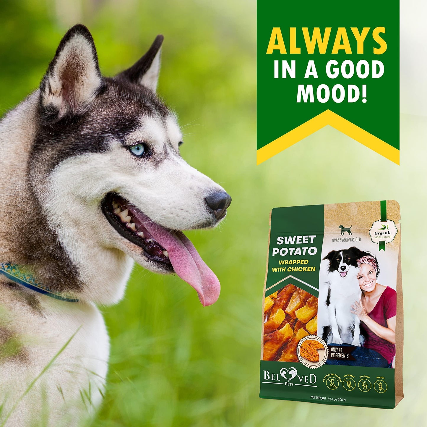 Dog Sweet Potato Wrapped with Chicken & Pet Natural Chew Treats   Grain Free Organic Meat & Human Grade Dried Snacks in Bulk   Best Twists for Training Small & Large Dogs   Made for USA (Sweet Potato)