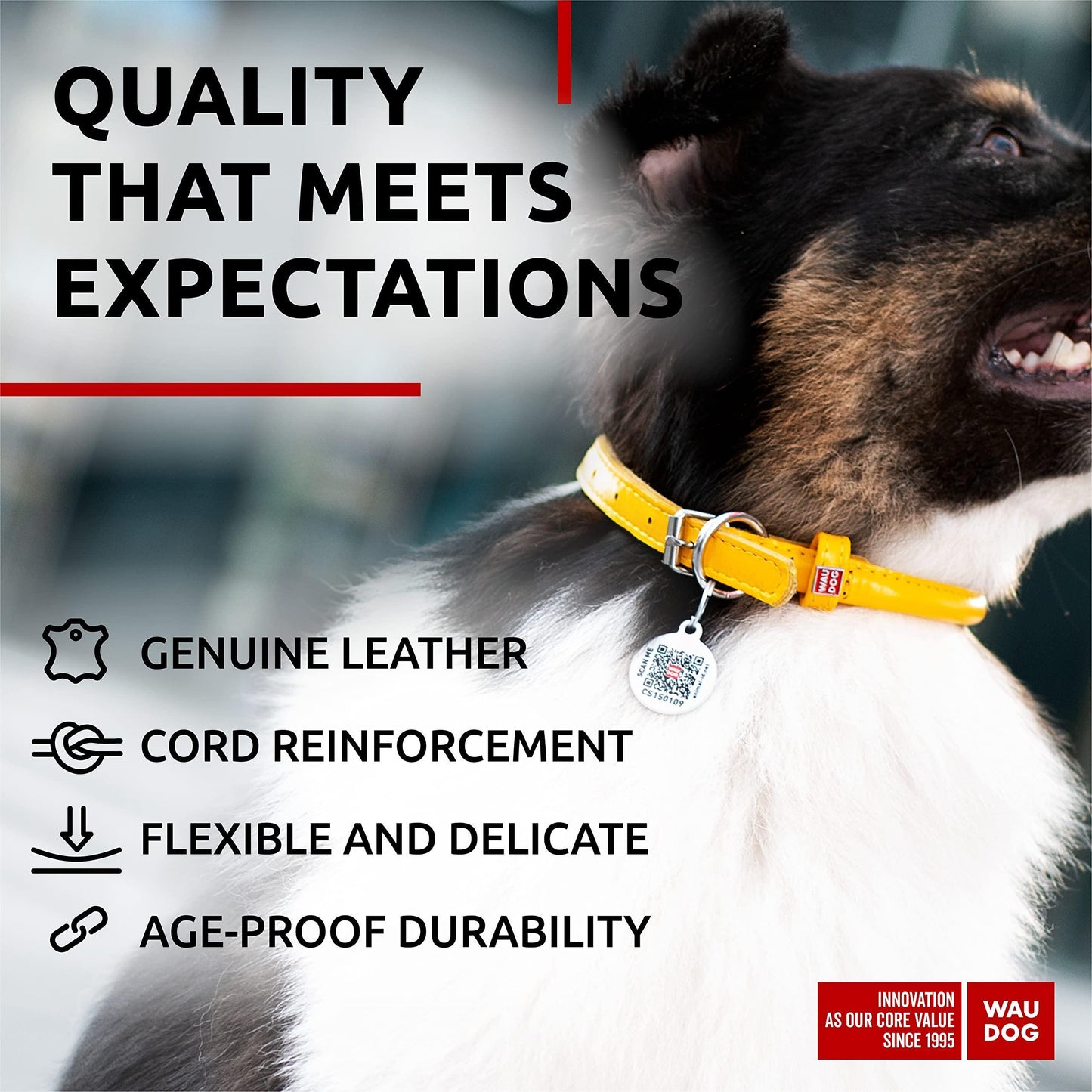 WAUDOG Ultra Soft Rolled Leather Dog Collar for Small Dogs   Soft Padded Dog Collars for Medium Dogs   Puppy Collars for Large Breed Dogs   Male and Female Dog Collar