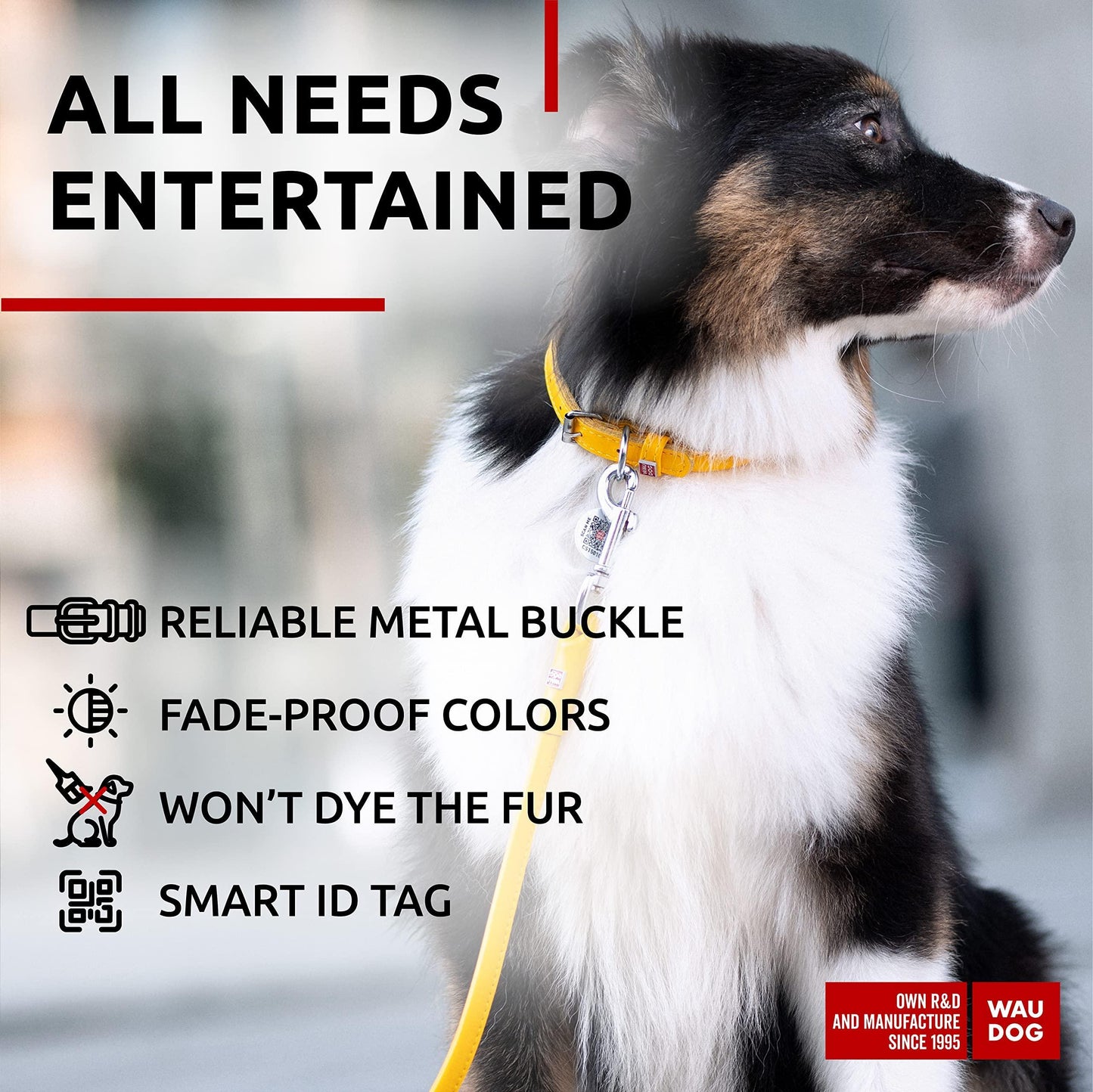 WAUDOG Ultra Soft Rolled Leather Dog Collar for Small Dogs   Soft Padded Dog Collars for Medium Dogs   Puppy Collars for Large Breed Dogs   Male and Female Dog Collar
