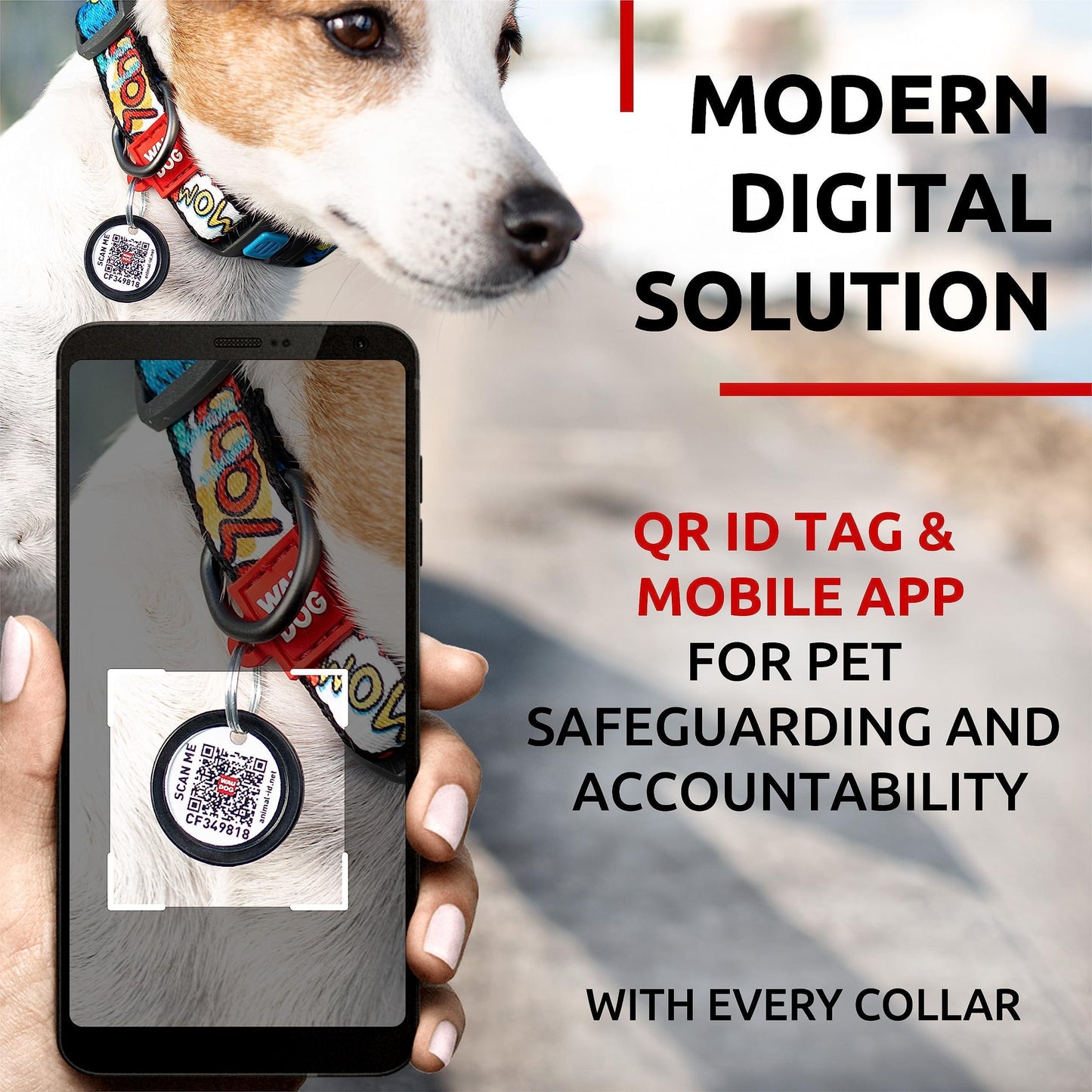 Nylon Dog Collar   Adjustable Dog Collar for Large Dogs Small & Medium Dogs   Breakaway Puppy Collars for Large Breed Dogs   Boy & Girl Dog Collars with Durable Plastic Buckle and QR Dog Tag