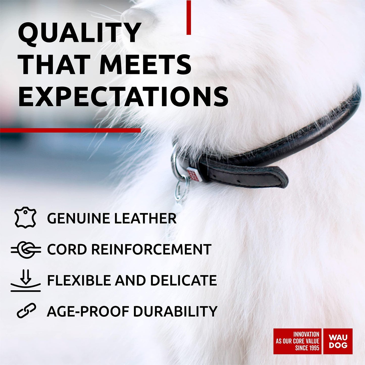 WAUDOG Ultra Soft Rolled Leather Dog Collar for Small Dogs   Soft Padded Dog Collars for Medium Dogs   Puppy Collars for Large Breed Dogs   Male and Female Dog Collar