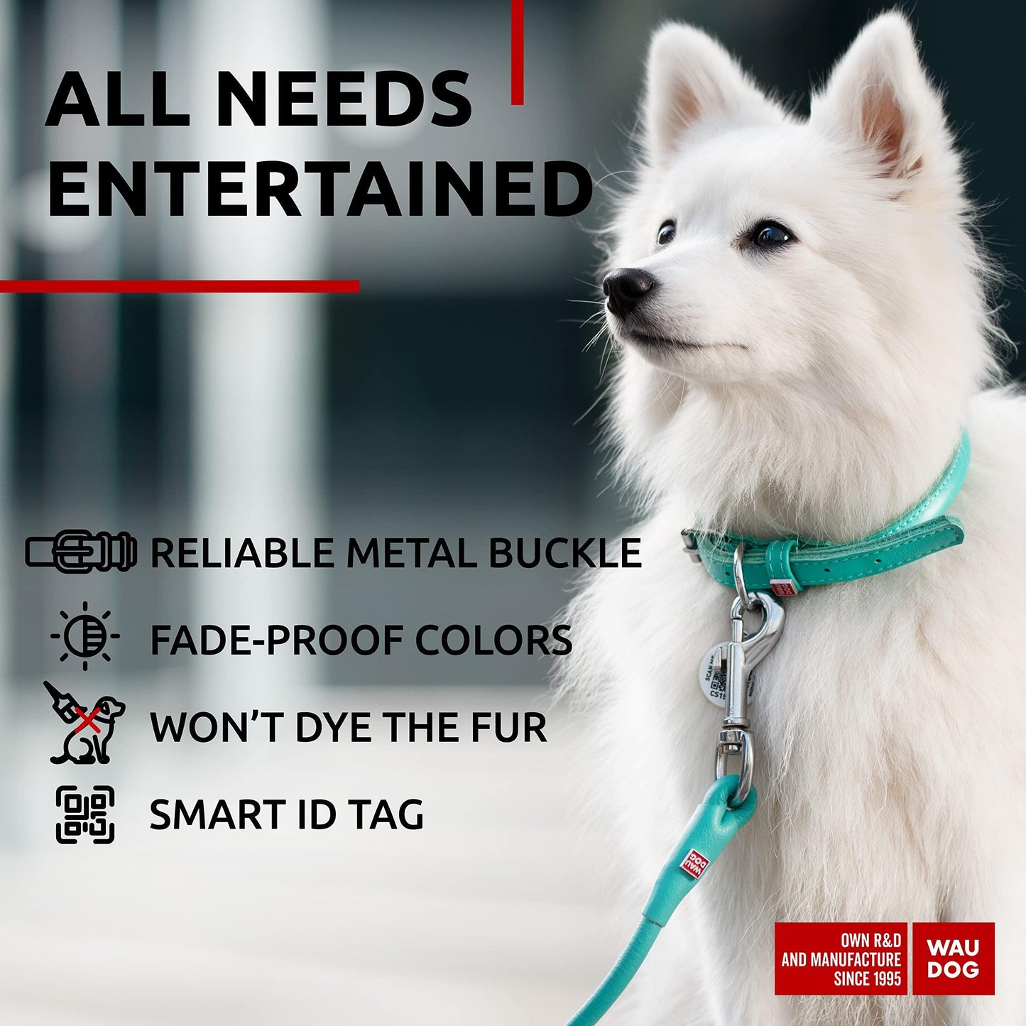 Ultra Soft Rolled Leather Dog Collar for Small Dogs   Soft Padded Dog Collars for Medium Dogs   Puppy Collars for Large Breed Dogs   Male and Female Dog Collar