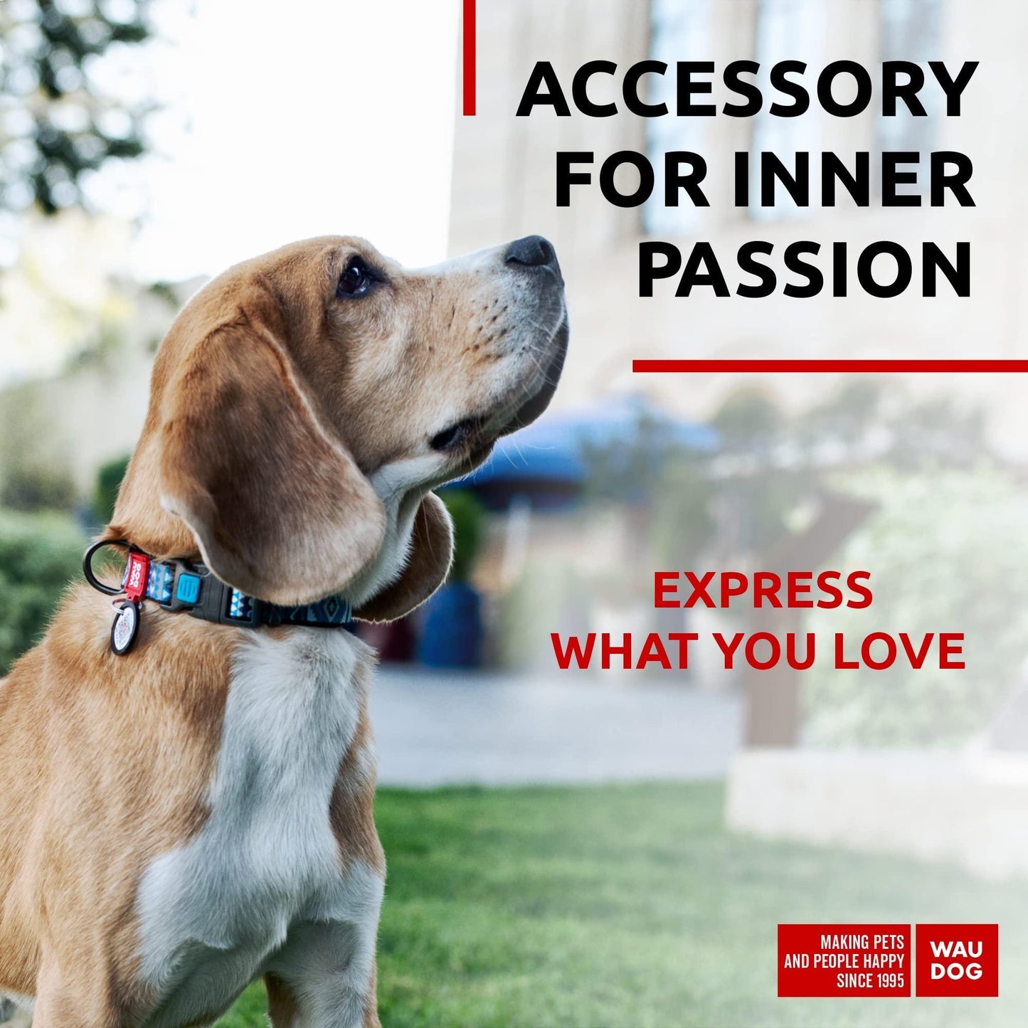Nylon Dog Collar   Adjustable Dog Collar for Large Dogs Small & Medium Dogs   Breakaway Puppy Collars for Large Breed Dogs   Boy & Girl Dog Collars with Durable Plastic Buckle and QR Dog Tag