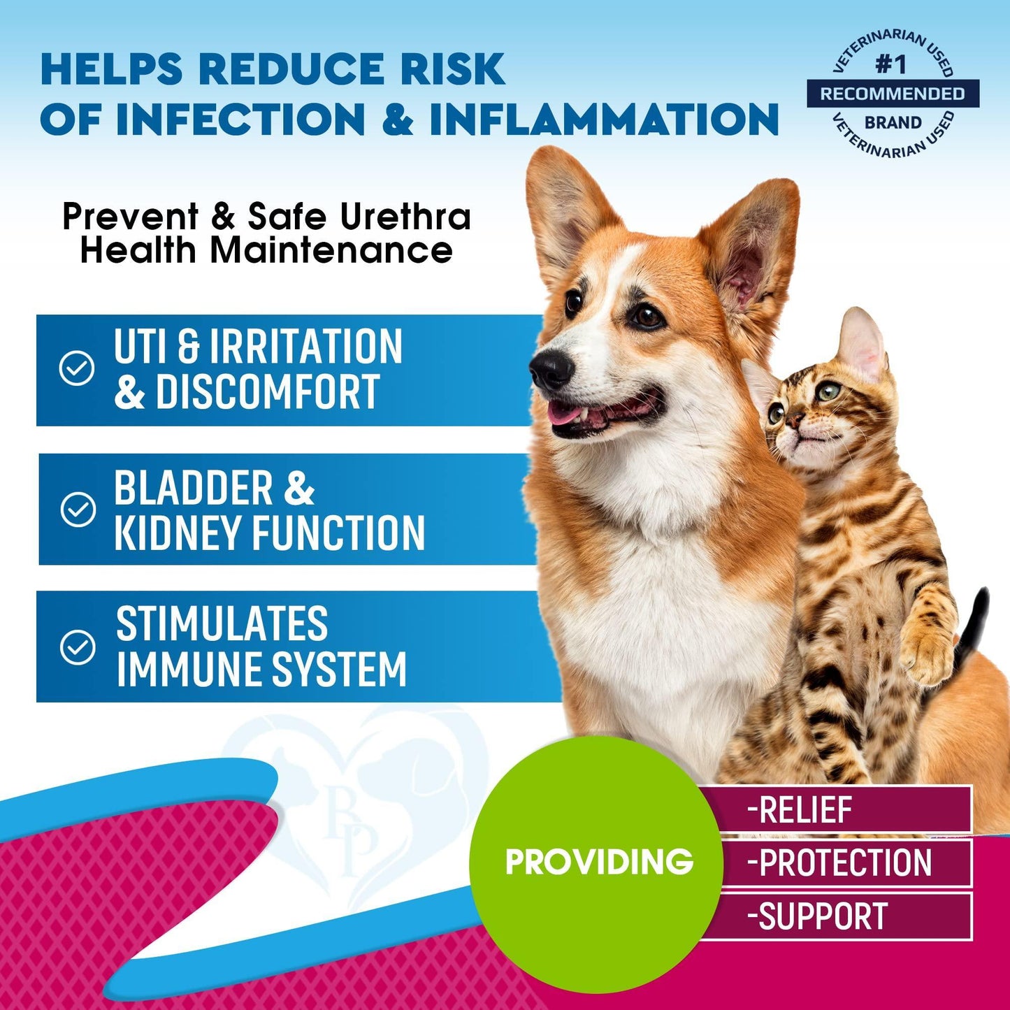 Cat & Dog Urinary Tract Infection Treatment & Natural UTI Medicine Cranberry Kidney Bladder Support Supplement   Best Prevention Incontinence Bladder Stones   Pet Renal Health & UTI Care Drops