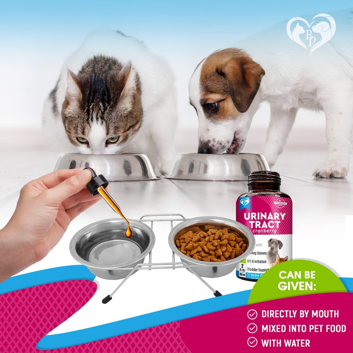 Cat & Dog Urinary Tract Infection Treatment & Natural UTI Medicine Cranberry Kidney Bladder Support Supplement   Best Prevention Incontinence Bladder Stones   Pet Renal Health & UTI Care Drops