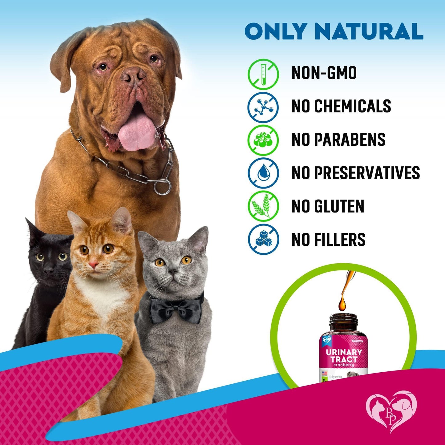 Cat & Dog Urinary Tract Infection Treatment & Natural UTI Medicine Cranberry Kidney Bladder Support Supplement   Best Prevention Incontinence Bladder Stones   Pet Renal Health & UTI Care Drops