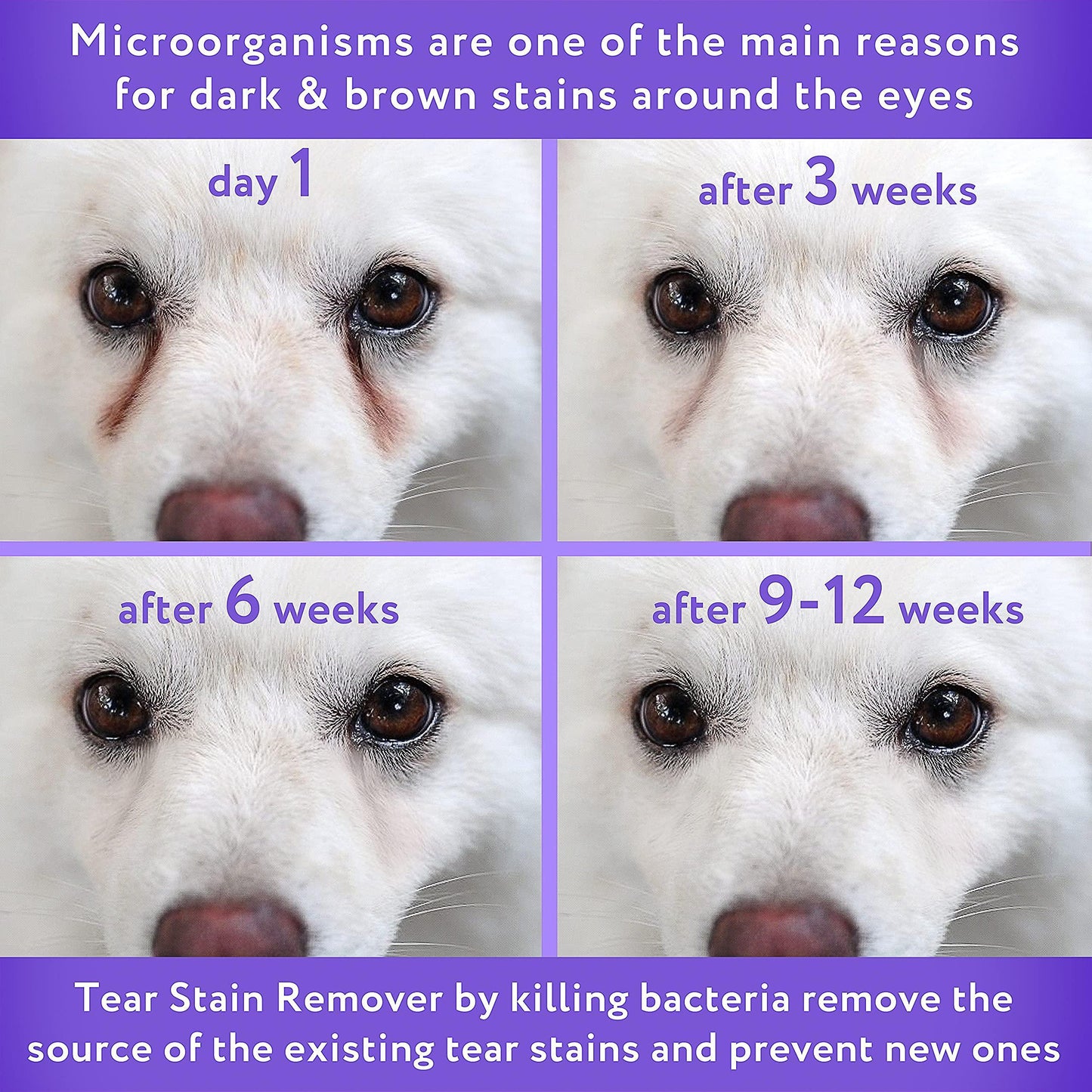 Arava   Tear Stain Remover   Eye Stain Cleaner for Dogs & Cats   Natural Ingredients & 26 Dead Sea Minerals   Safe & Effective for Pets   Removes Tear & Saliva Stains & Prevents New Ones