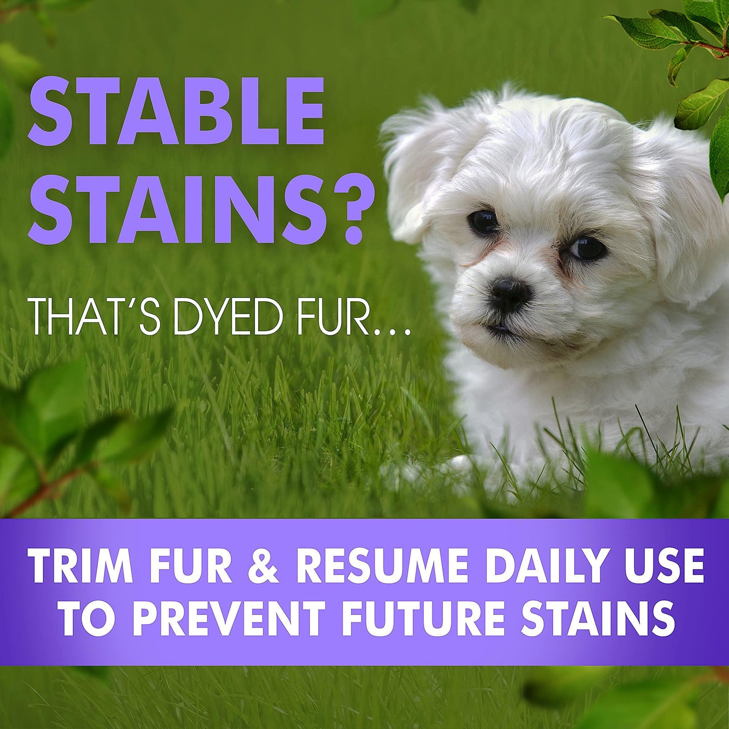 Arava   Tear Stain Remover   Eye Stain Cleaner for Dogs & Cats   Natural Ingredients & 26 Dead Sea Minerals   Safe & Effective for Pets   Removes Tear & Saliva Stains & Prevents New Ones