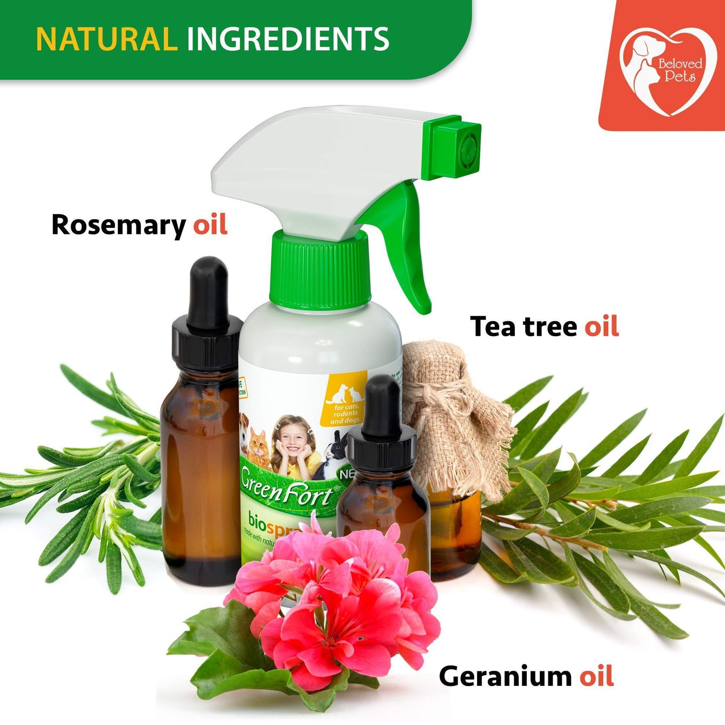 Natural Flea and Tick Home Spray for Dogs Cats & Ferret   Mosquito Bug Repellent & Carpet Flea Killer   Pet Pest Control & House Flea Treatment Indoor   Organic Prevention for Safe