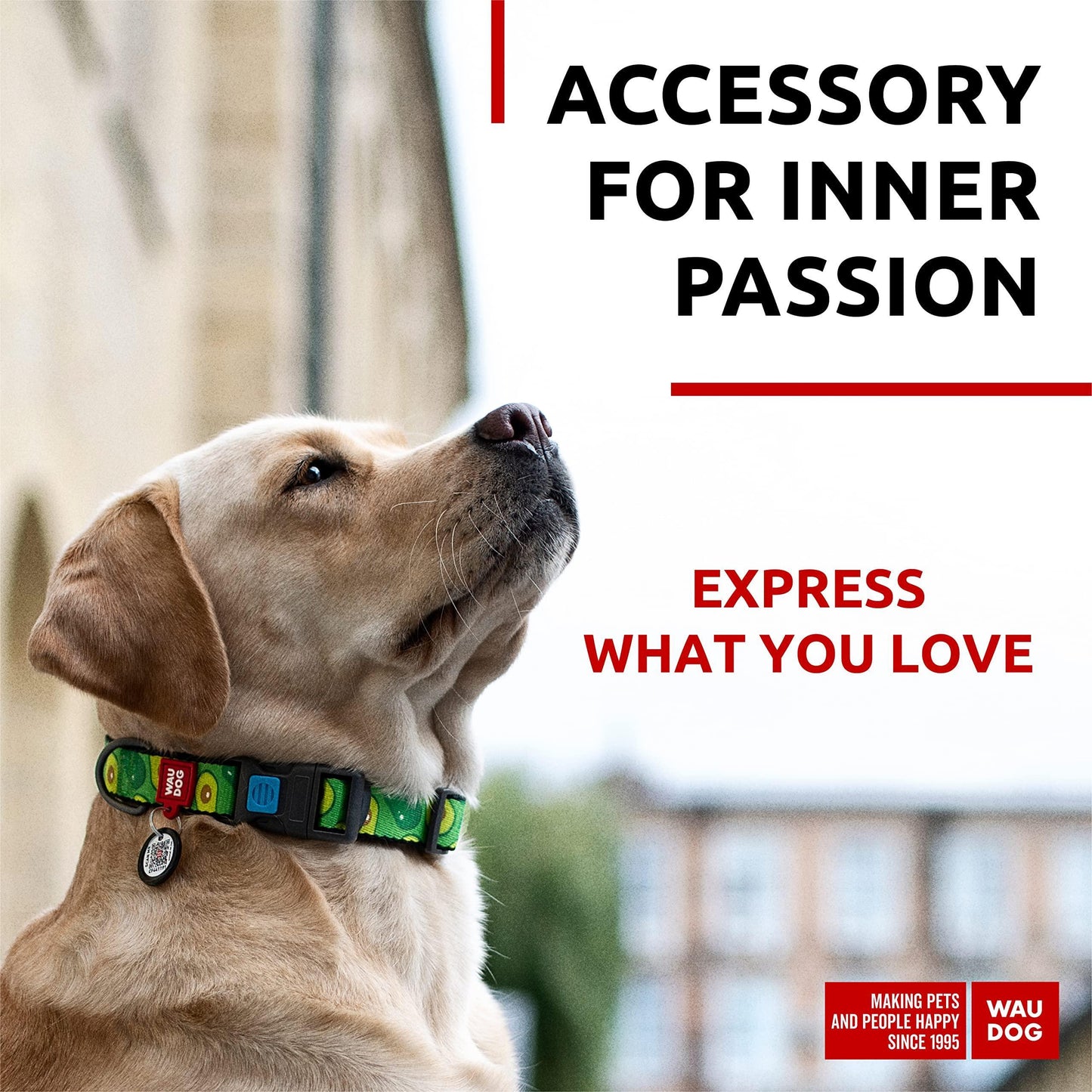 Nylon Dog Collar   Adjustable Dog Collar for Large Dogs Small & Medium Dogs   Breakaway Puppy Collars for Large Breed Dogs   Boy & Girl Dog Collars with Durable Plastic Buckle and QR Dog Tag