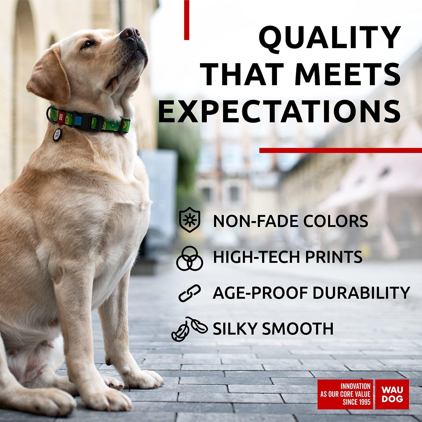 Nylon Dog Collar   Adjustable Dog Collar for Large Dogs Small & Medium Dogs   Breakaway Puppy Collars for Large Breed Dogs   Boy & Girl Dog Collars with Durable Plastic Buckle and QR Dog Tag