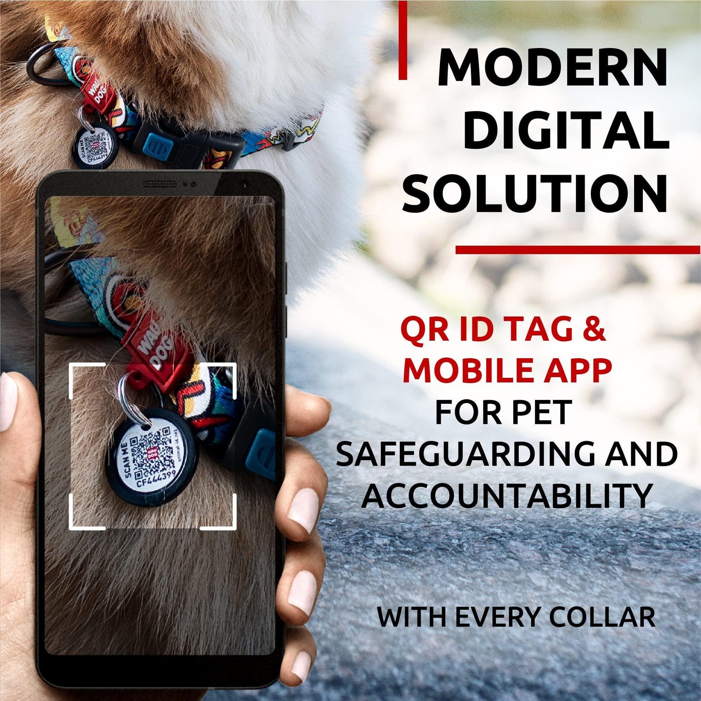 Nylon Dog Collar   Adjustable Dog Collar for Large Dogs Small & Medium Dogs   Breakaway Puppy Collars for Large Breed Dogs   Boy & Girl Dog Collars with Durable Plastic Buckle and QR Dog Tag