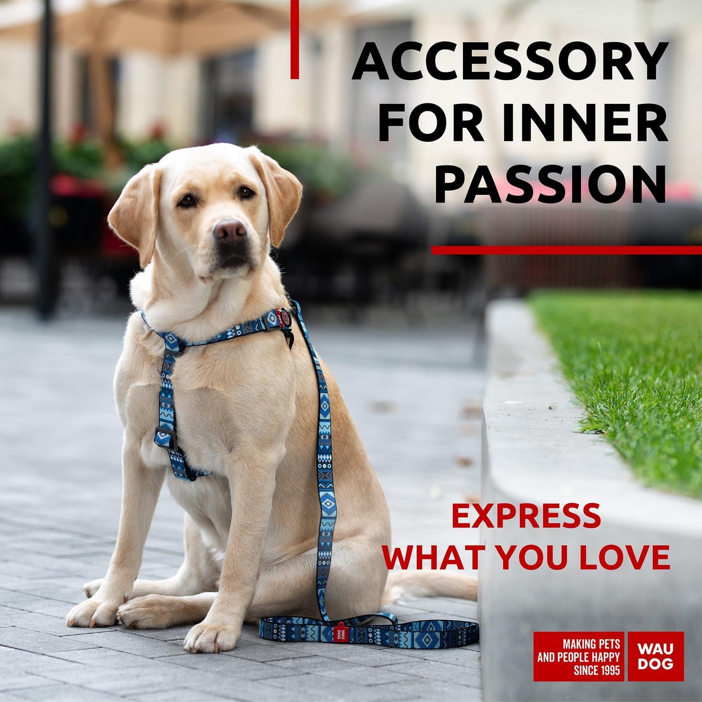 Nylon Dog Leash for Small Dogs and Medium Dogs 4 Ft   Strong Dog Leash for Large Dogs   Heavy Duty Dog Leashes for Large Breed Dogs & Puppy Leash for Small Boy & Girl Dogs