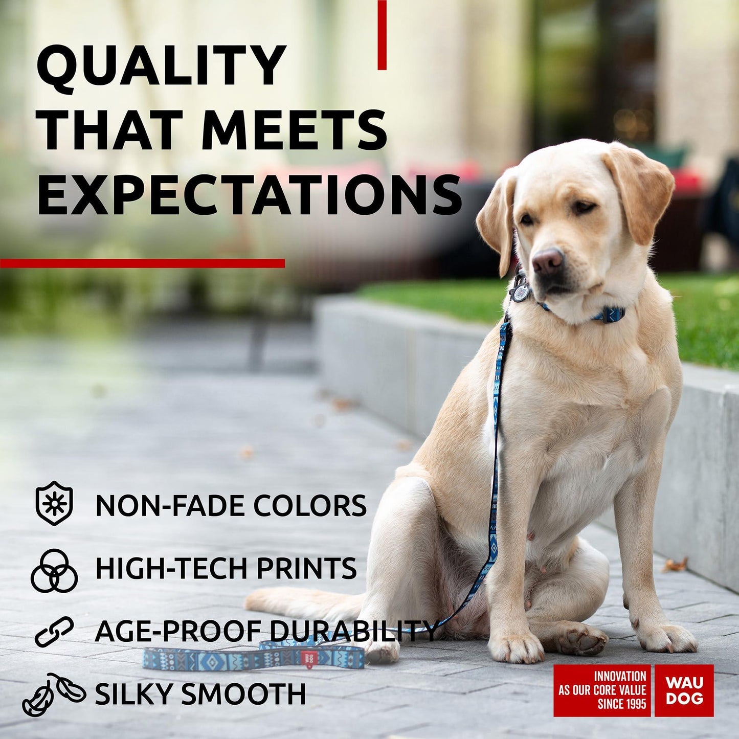 Nylon Dog Leash for Small Dogs and Medium Dogs 4 Ft   Strong Dog Leash for Large Dogs   Heavy Duty Dog Leashes for Large Breed Dogs & Puppy Leash for Small Boy & Girl Dogs